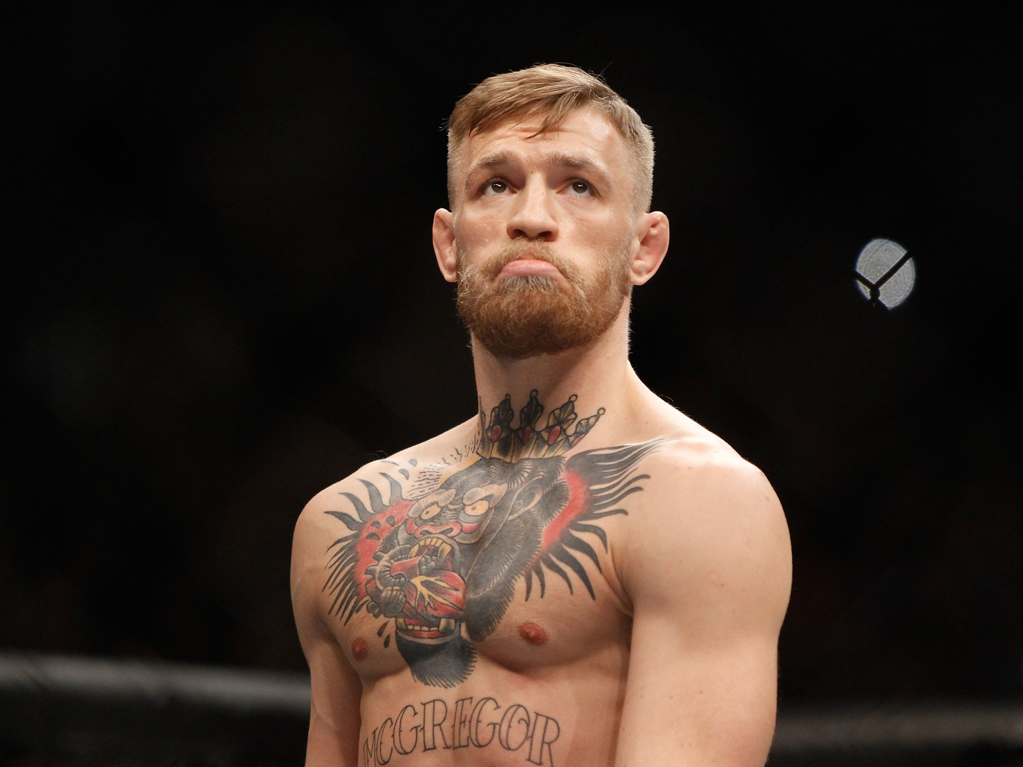 Conor McGregor, Tatuaggi, Ritratto, Ottagono, sfondo per iPad e tablet