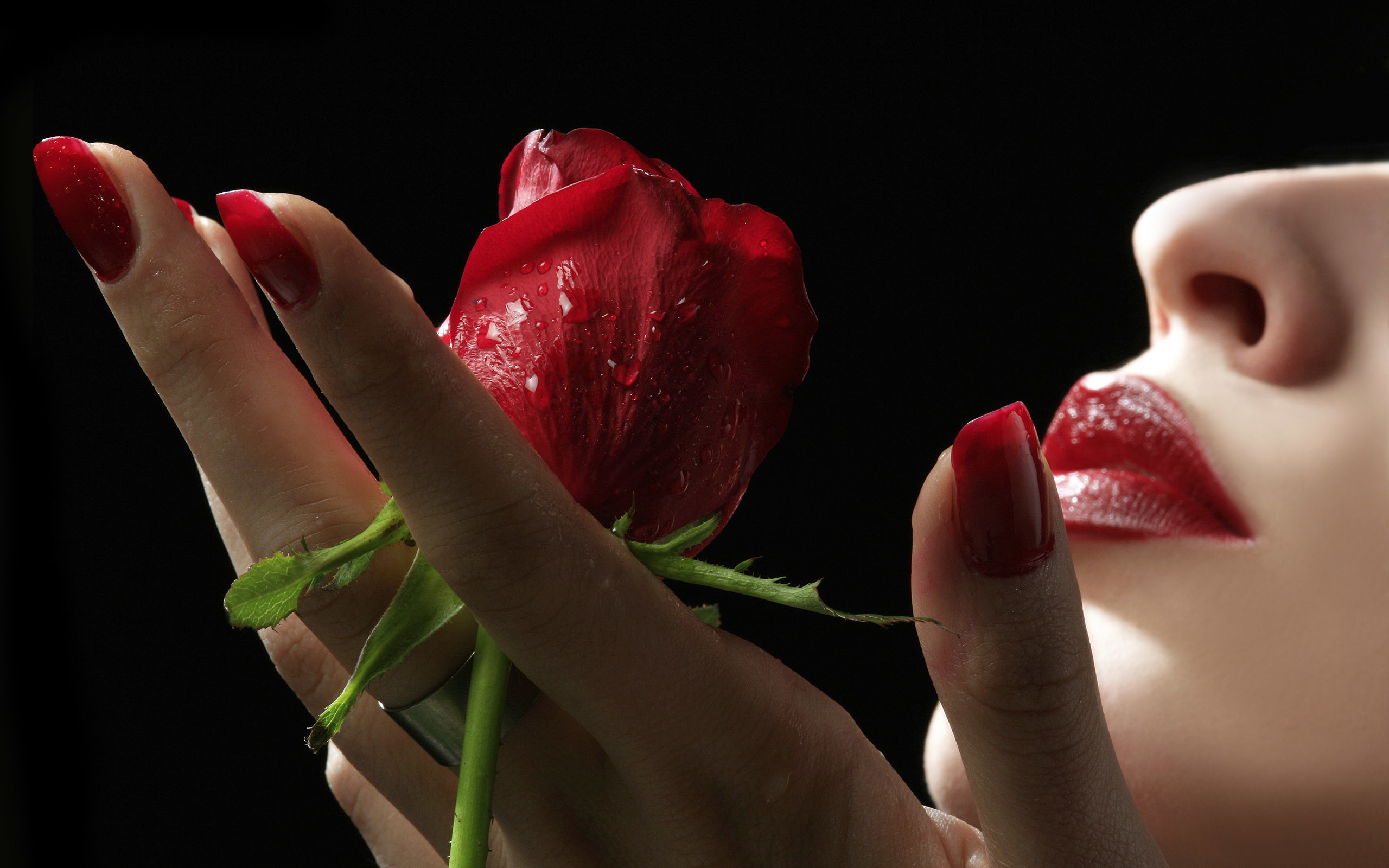 Rosa rossa, Labbra rosse, Smalto rosso, Donna, Sfondo nero, 2560x1600, wallpaper desktop
