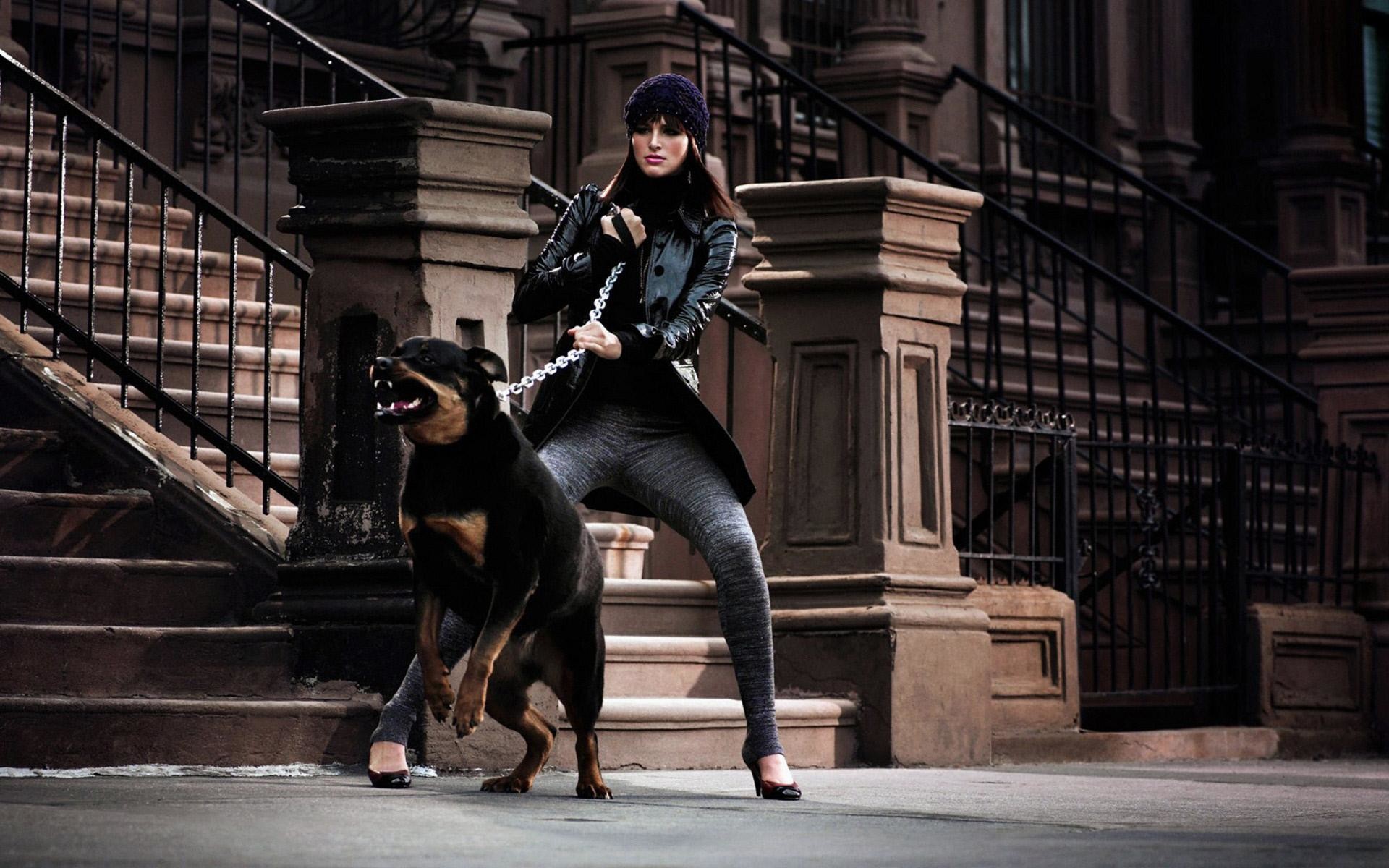 Modella, Rottweiler, Brownstone, New York, Full HD, sfondo desktop