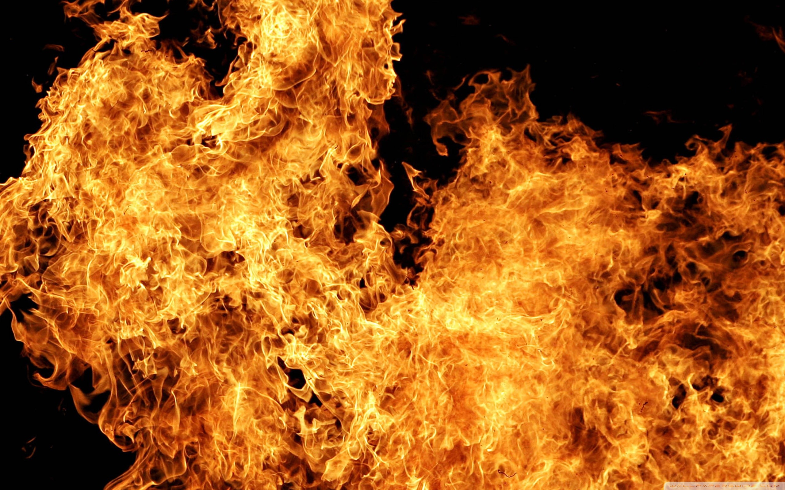 Fiamme, Esplosione di fuoco, Sfondo nero, 16:10 2K, wallpaper widescreen
