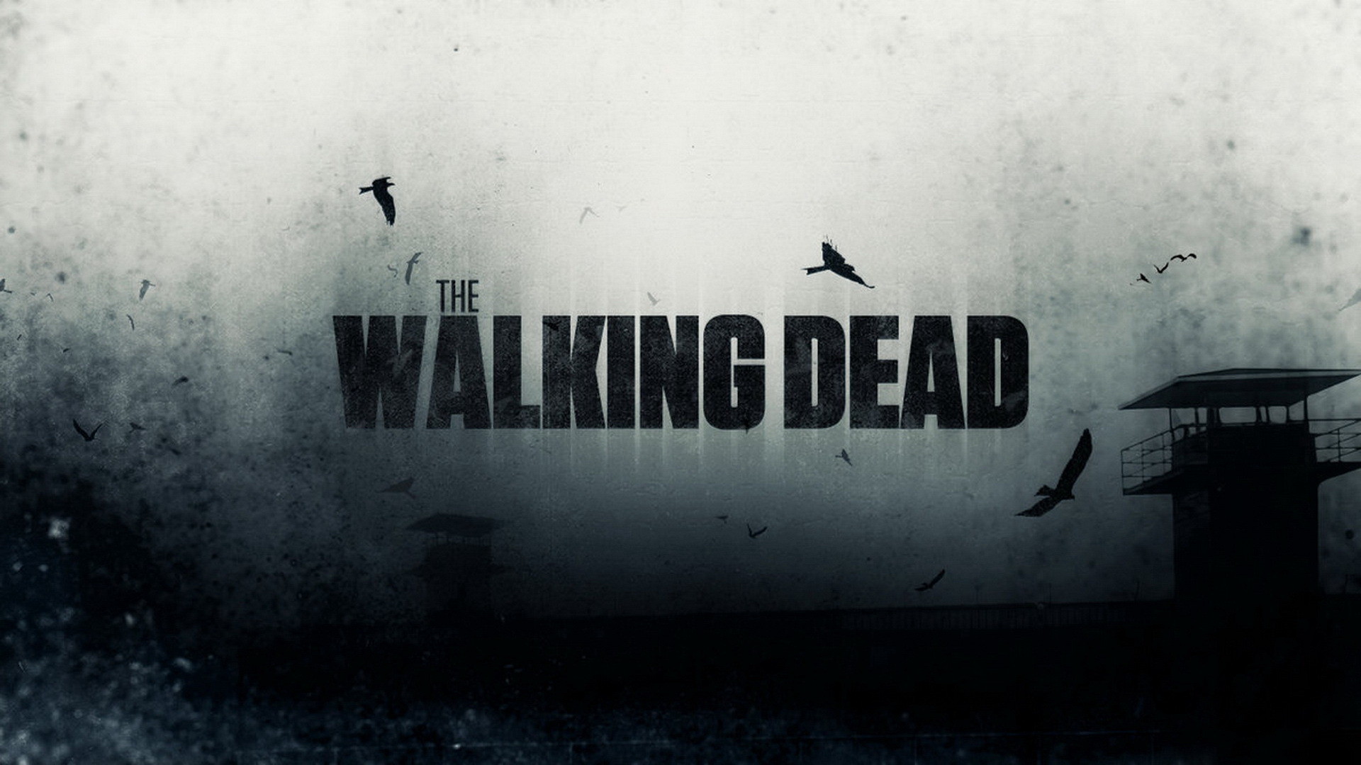 The Walking Dead, Logo, Prigione, Corvi, Grunge, 1920x1080, wallpaper desktop
