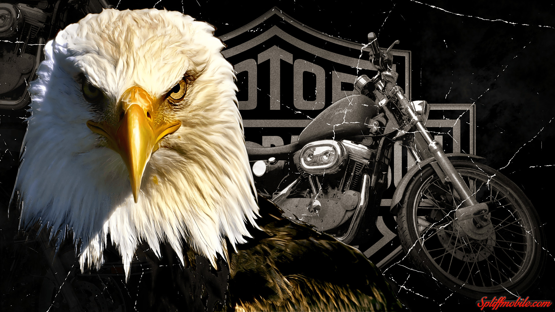 Harley-Davidson, Aquila calva, Logo Bar & Shield, Sportster, Collage, sfondo 1920x1080 per PC
