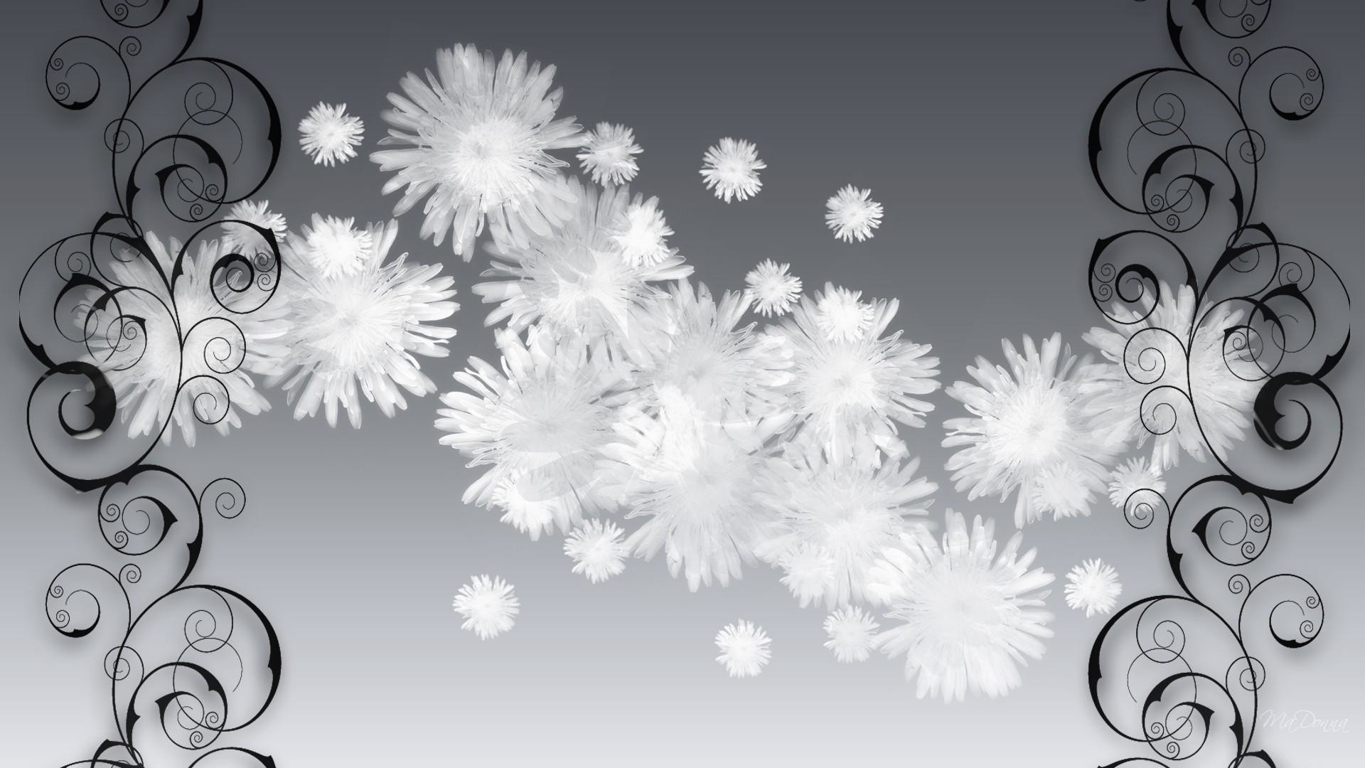 Fiori bianchi, Ghirigori, Grigio, 1920x1080, sfondo per PC