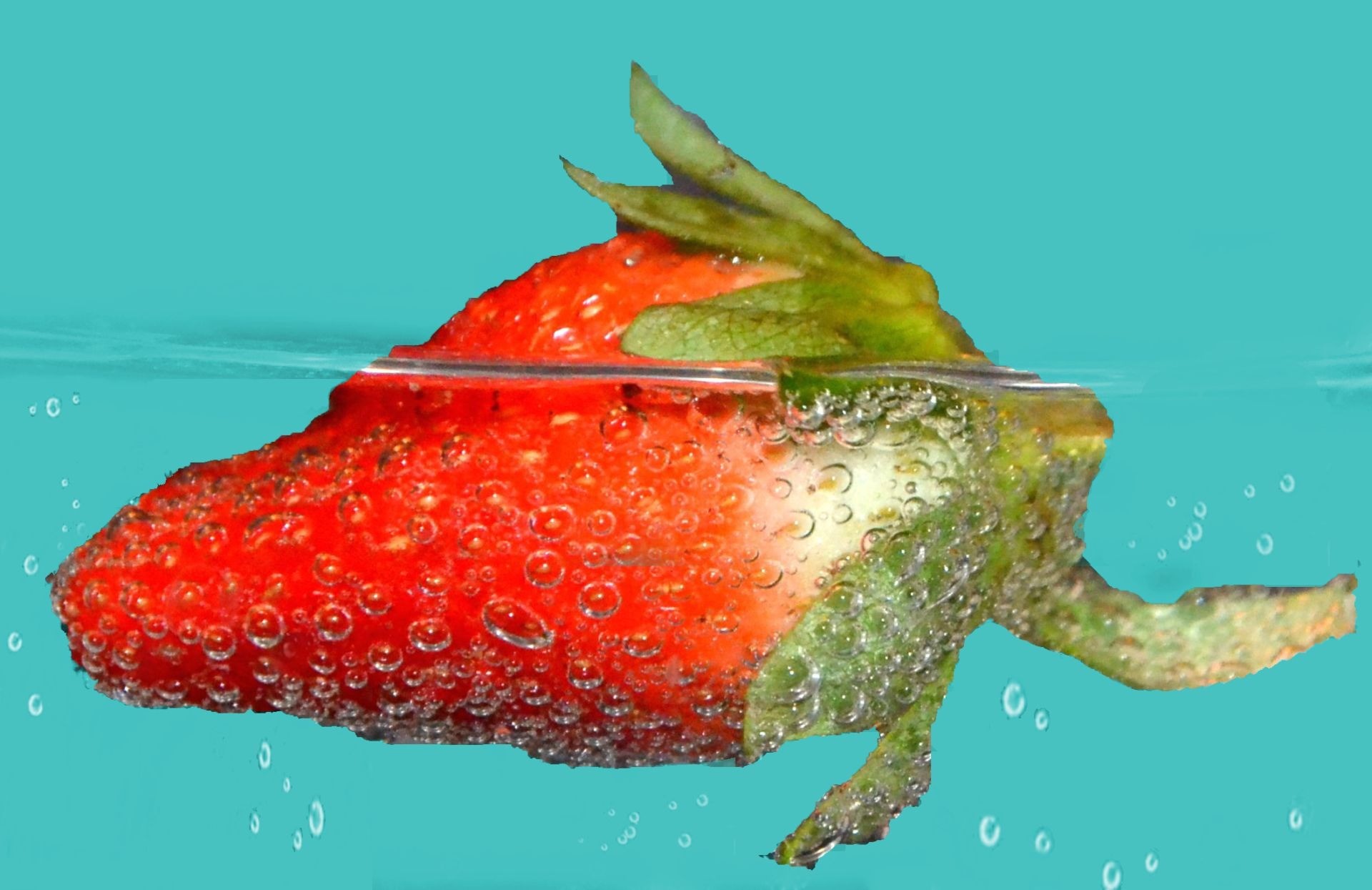Fragola, Acqua, Turchese, Full HD, sfondo desktop