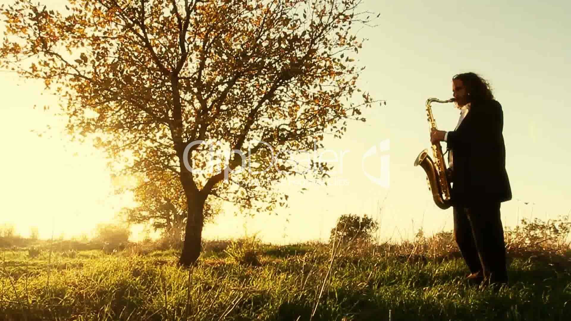 Sassofonista, Albero, Tramonto, Prato, Controluce, Full HD, sfondo desktop