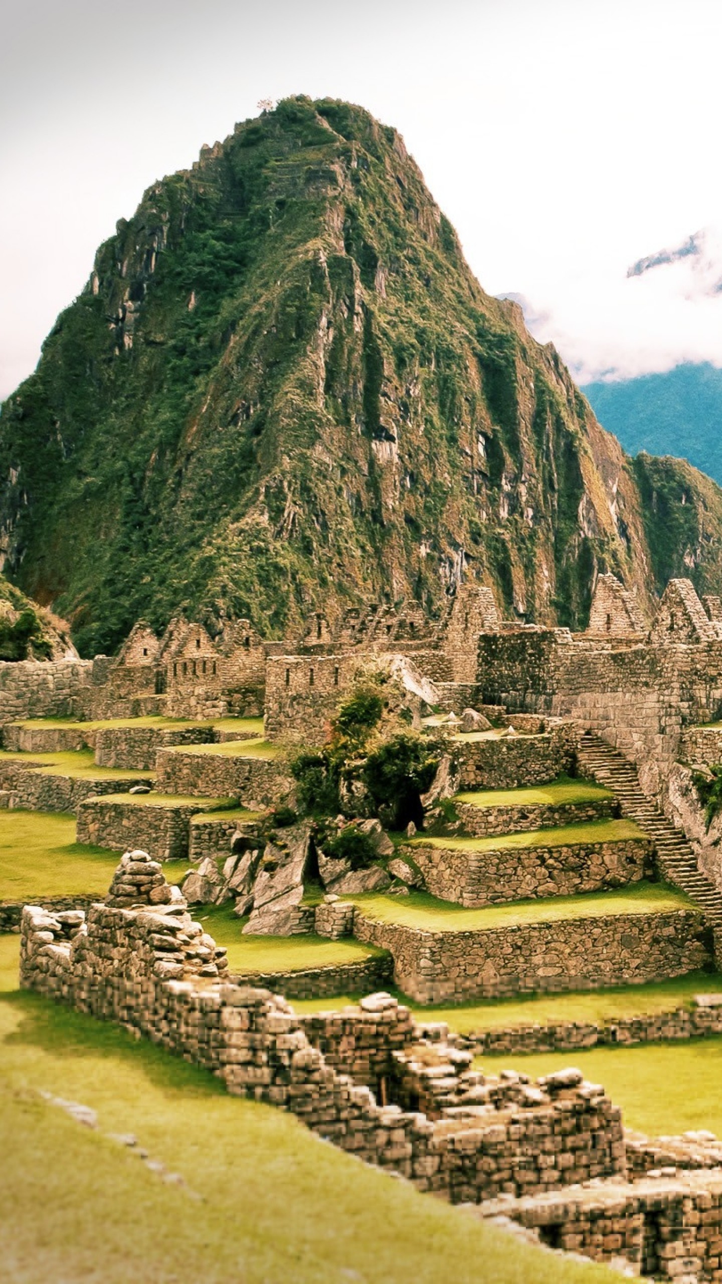 Machu Picchu, Huayna Picchu, Perù, Terrazzamenti, sfondo per iPhone e Android