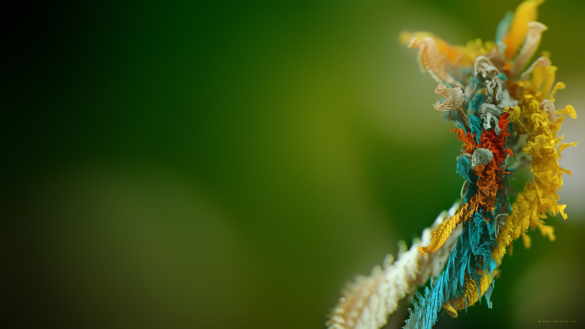 Macro, Verde, Bokeh, 16:9 Full HD, sfondo widescreen