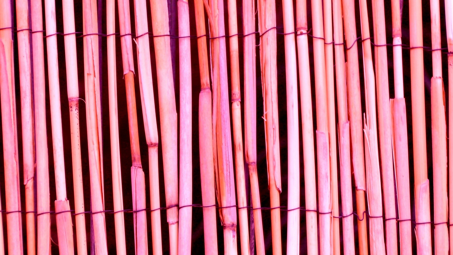 Canne rosa, Stuoia, Bambù, 1920x1080, sfondo per PC