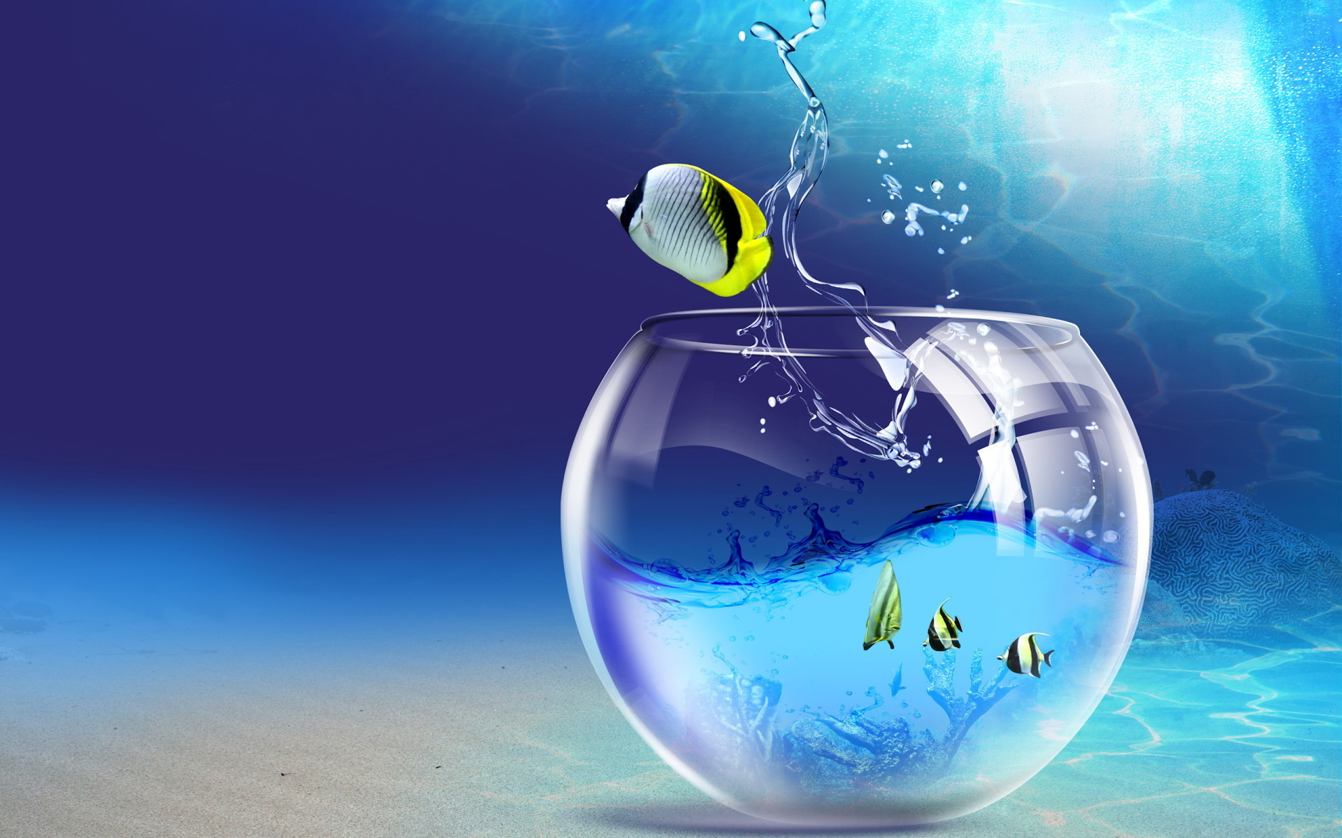 Boccia per pesci, Pesci tropicali, Acqua, Azzurro, sfondo per Windows 7