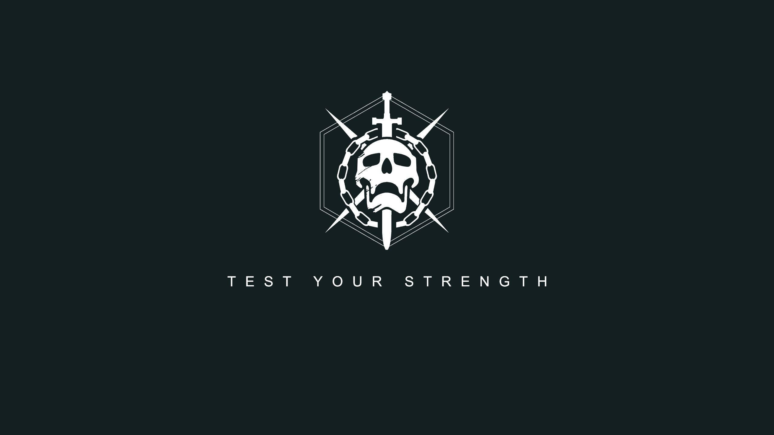Destiny, Emblema raid, Test Your Strength, Teschio, Minimalista, sfondo 2K per computer
