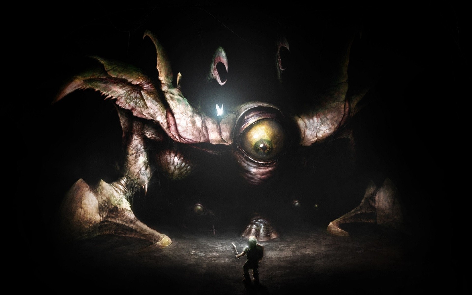 Gohma, Link, The Legend of Zelda, Mostro, Caverna, 1920x1200, sfondo per PC