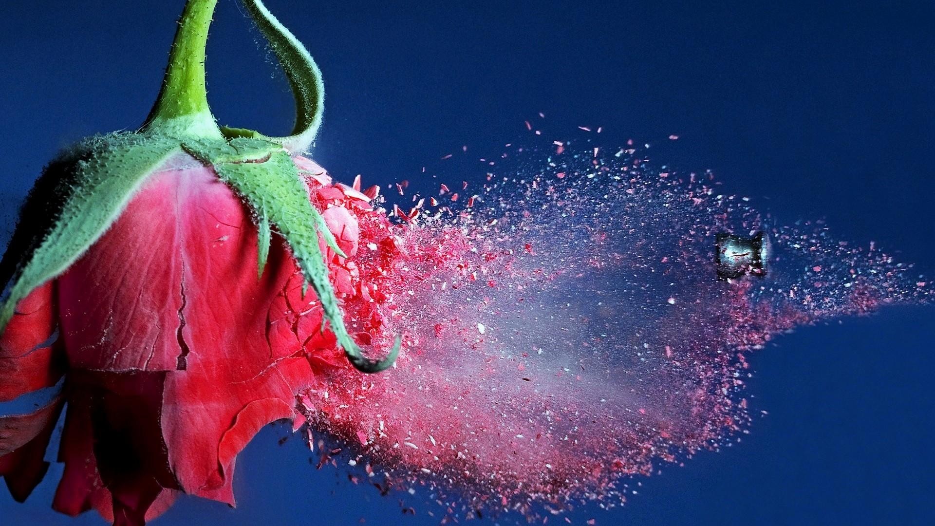 Rosa, Proiettile, Esplosione, Alta velocità, 1920x1080, immagine di sfondo