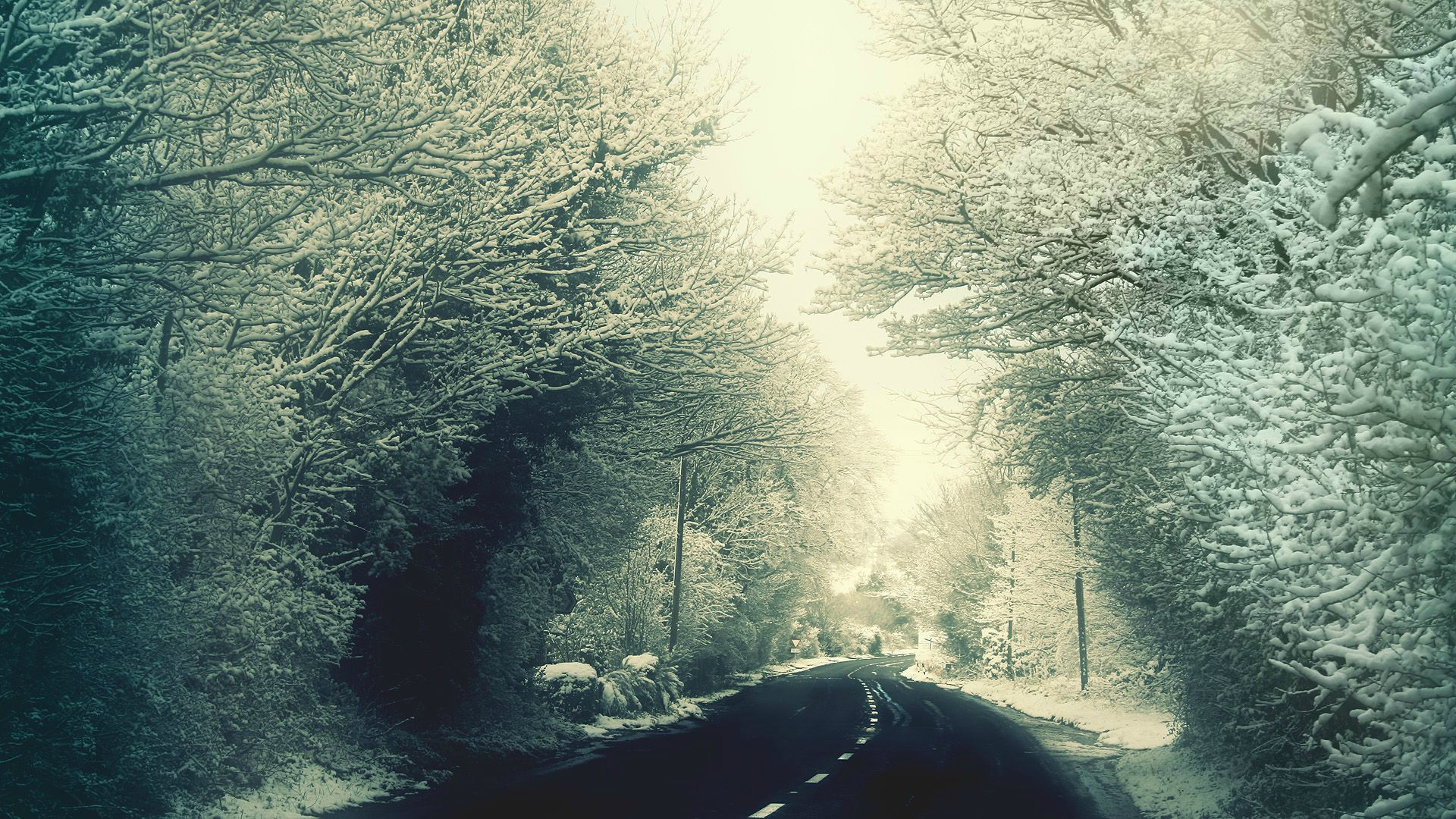 Strada, Alberi innevati, Inverno, Full HD, sfondo per PC