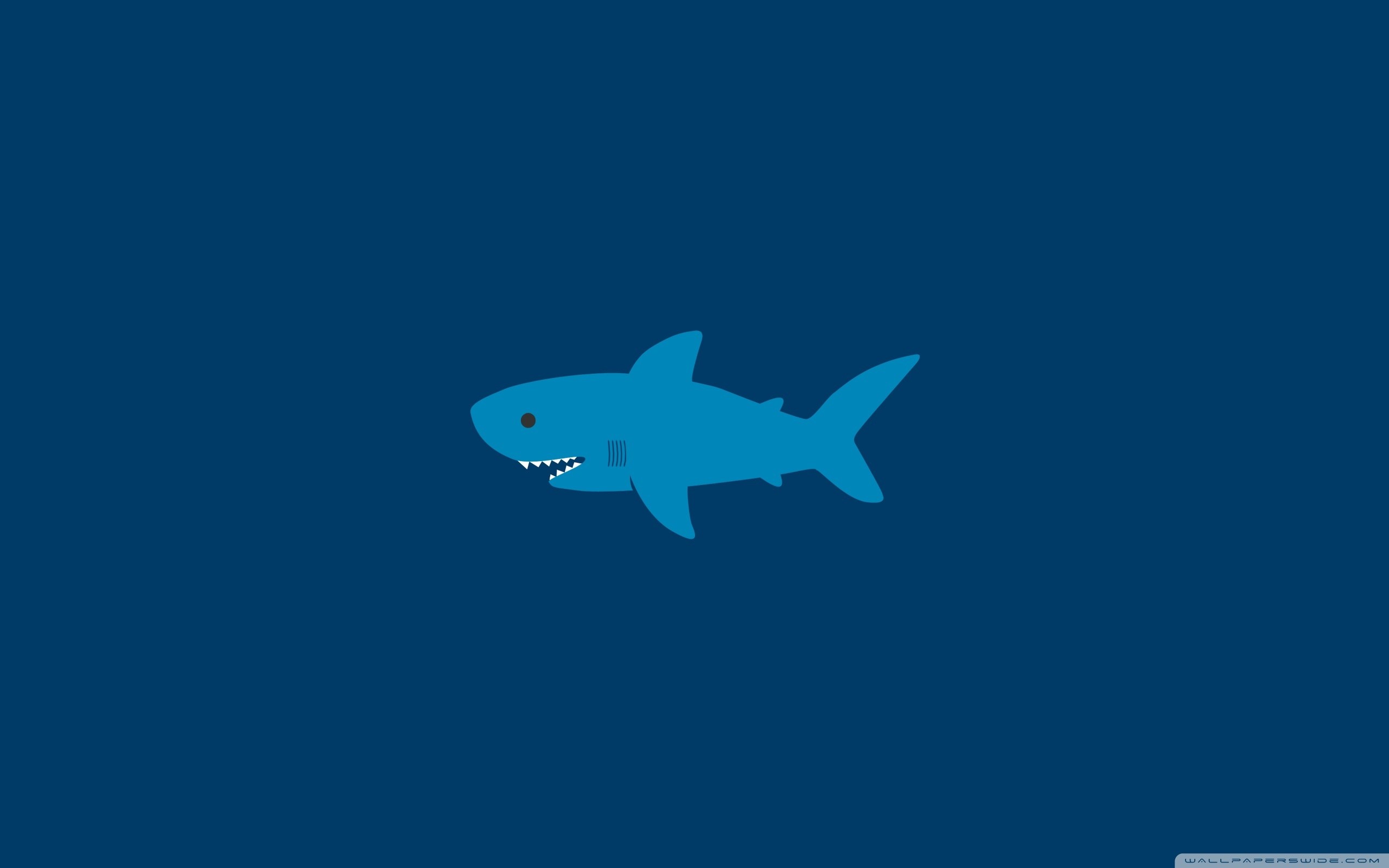 Squalo, Minimalista, Sfondo blu, 2K, wallpaper per PC