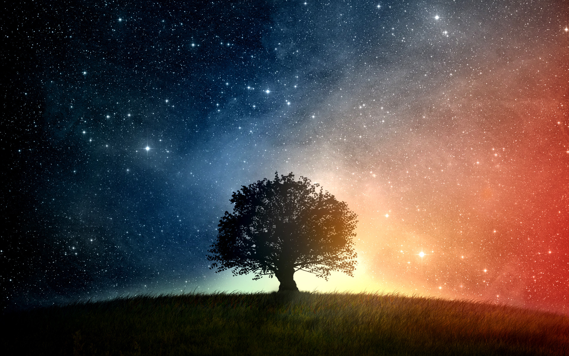 Albero, Cielo stellato, Silhouette, Notte, 1920x1200, sfondo MacBook Pro
