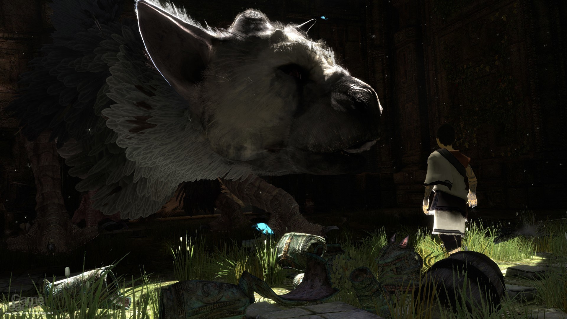 Trico, The Last Guardian, Ragazzo, Sfondo scuro, Full HD, wallpaper desktop