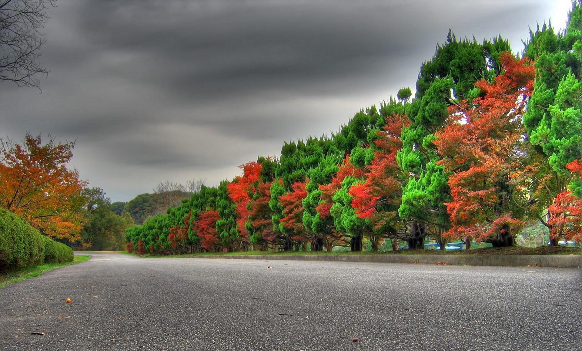 Viale alberato, Autunno, HDR, Strada, immagine di sfondo PC
