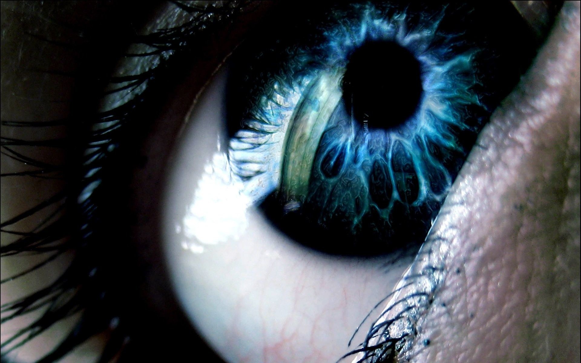 Occhio, Iride azzurra, Macro, 1920x1200, sfondo MacBook Pro