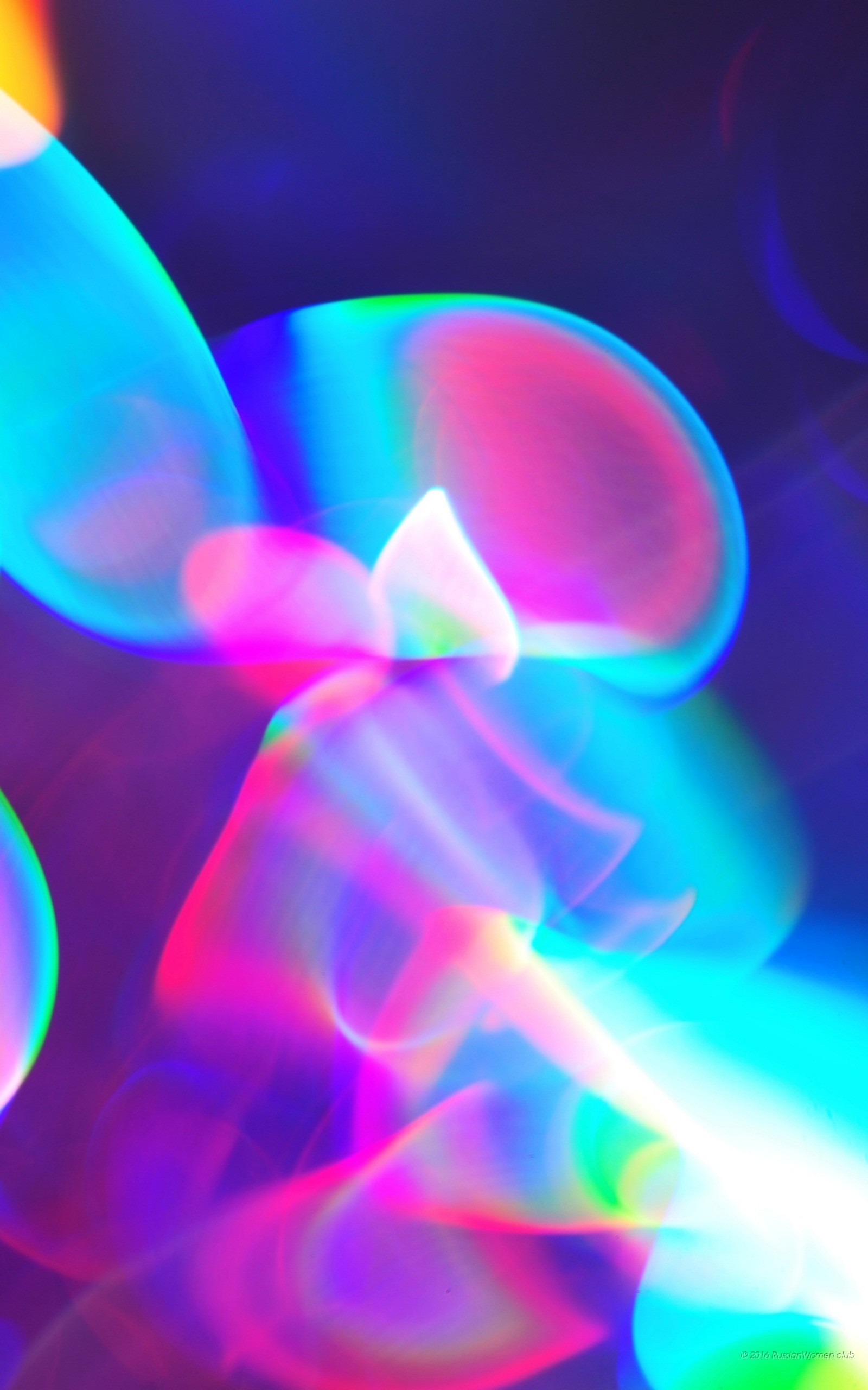 Astratto, Luci, Neon, Viola, sfondo QHD+ per cellulare