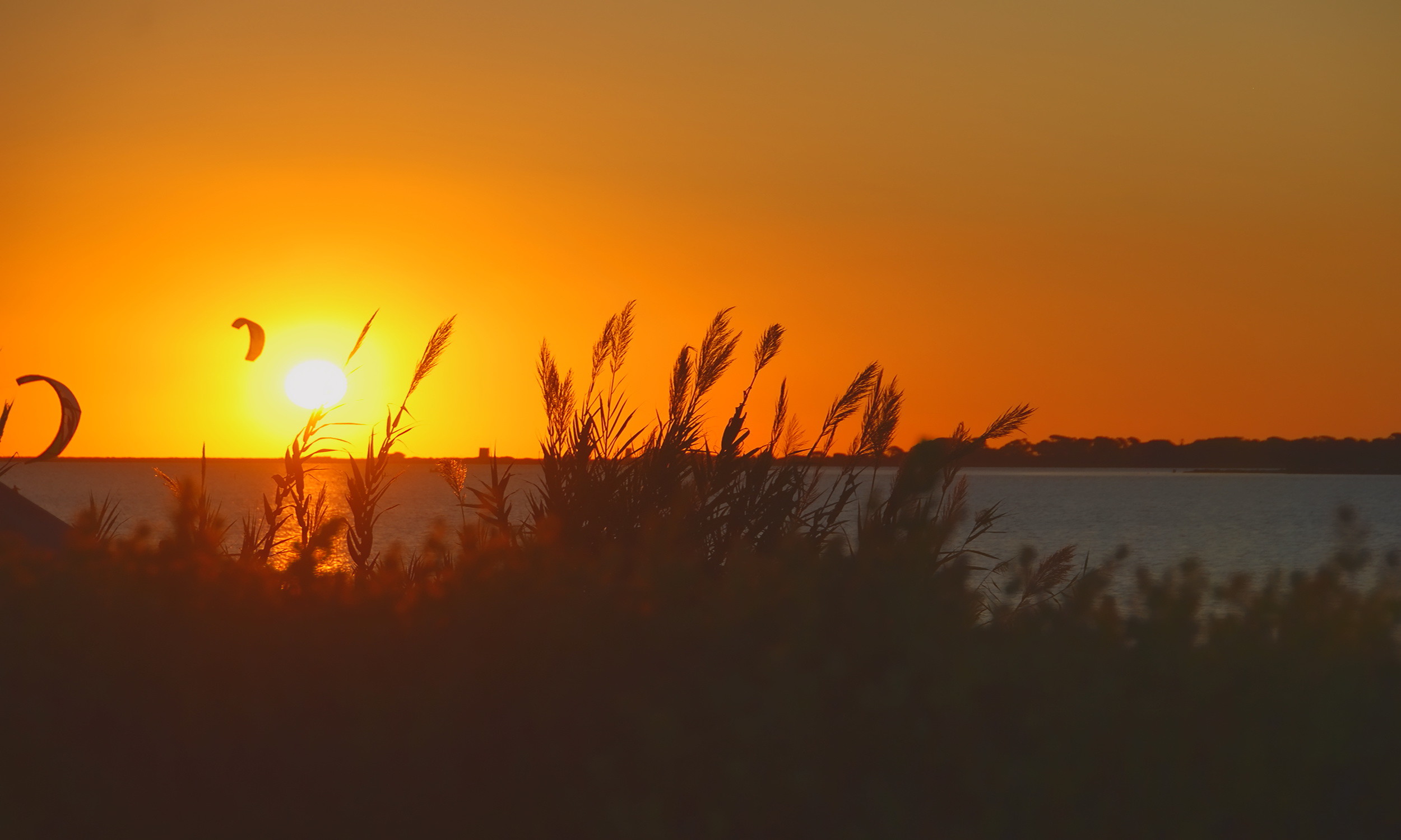 Tramonto, Lago, Canne, Arancione, Full HD, wallpaper per portatile