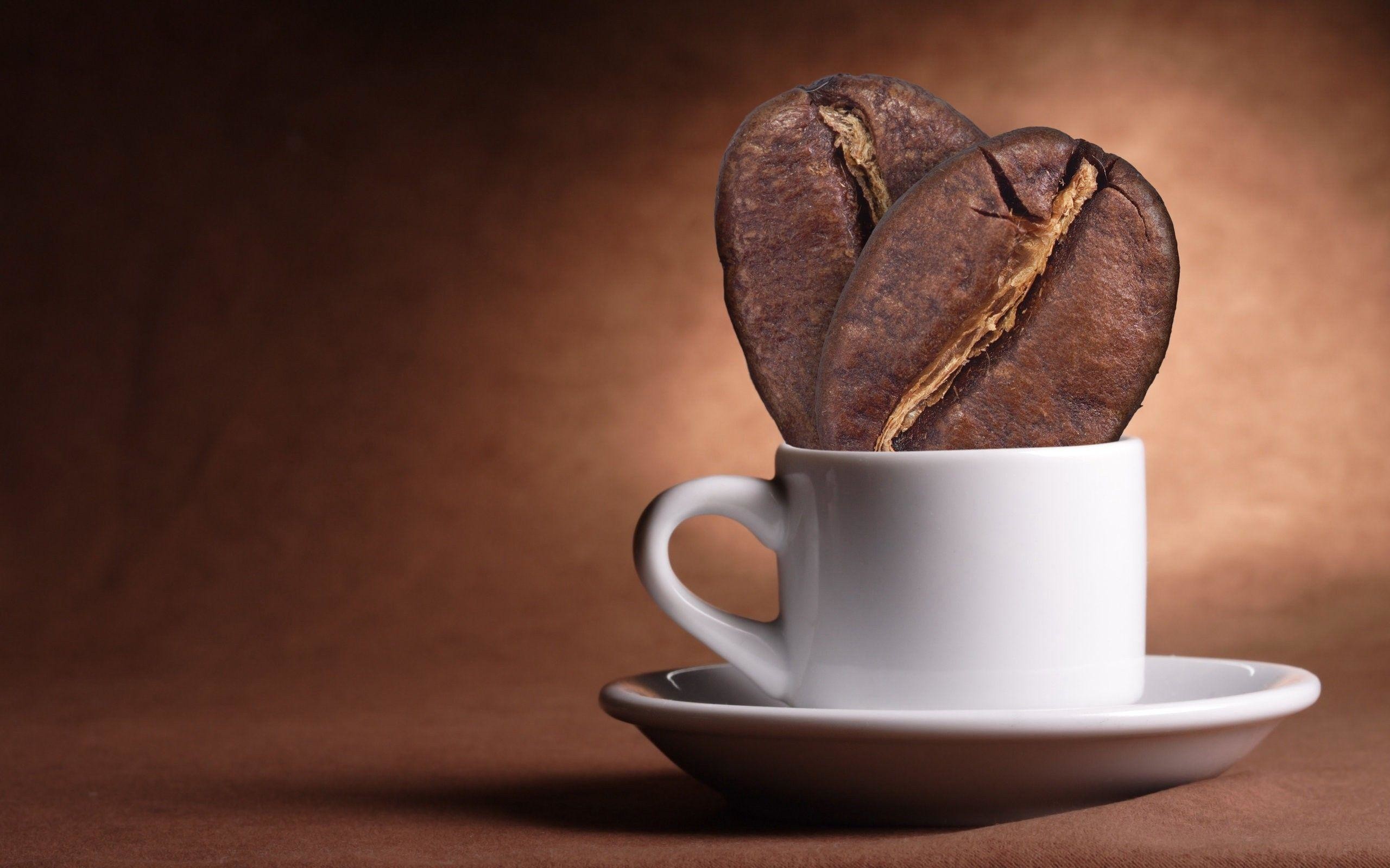 Chicchi di caffè giganti, Tazzina, Arte creativa, Sfondo marrone, wallpaper 2560x1600
