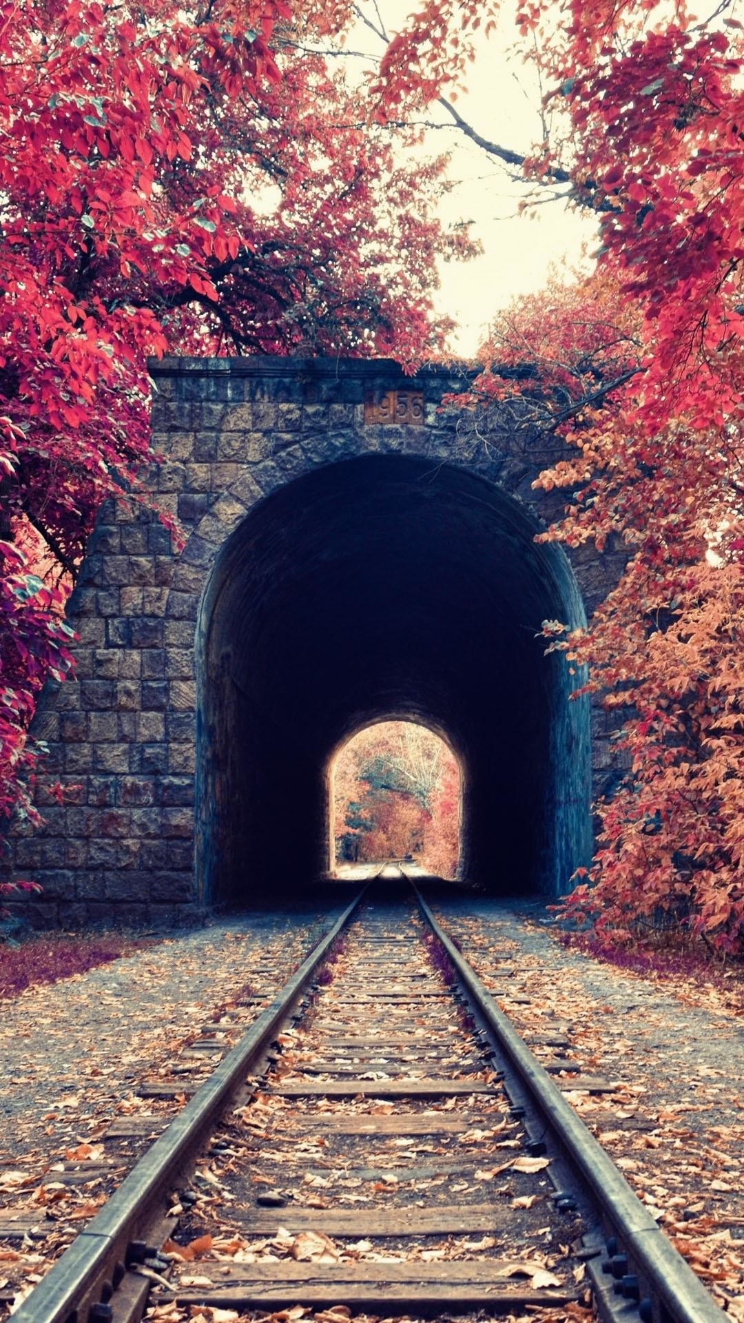 Galleria, Binari, Autunno, Foglie rosse, wallpaper per iPhone e Android