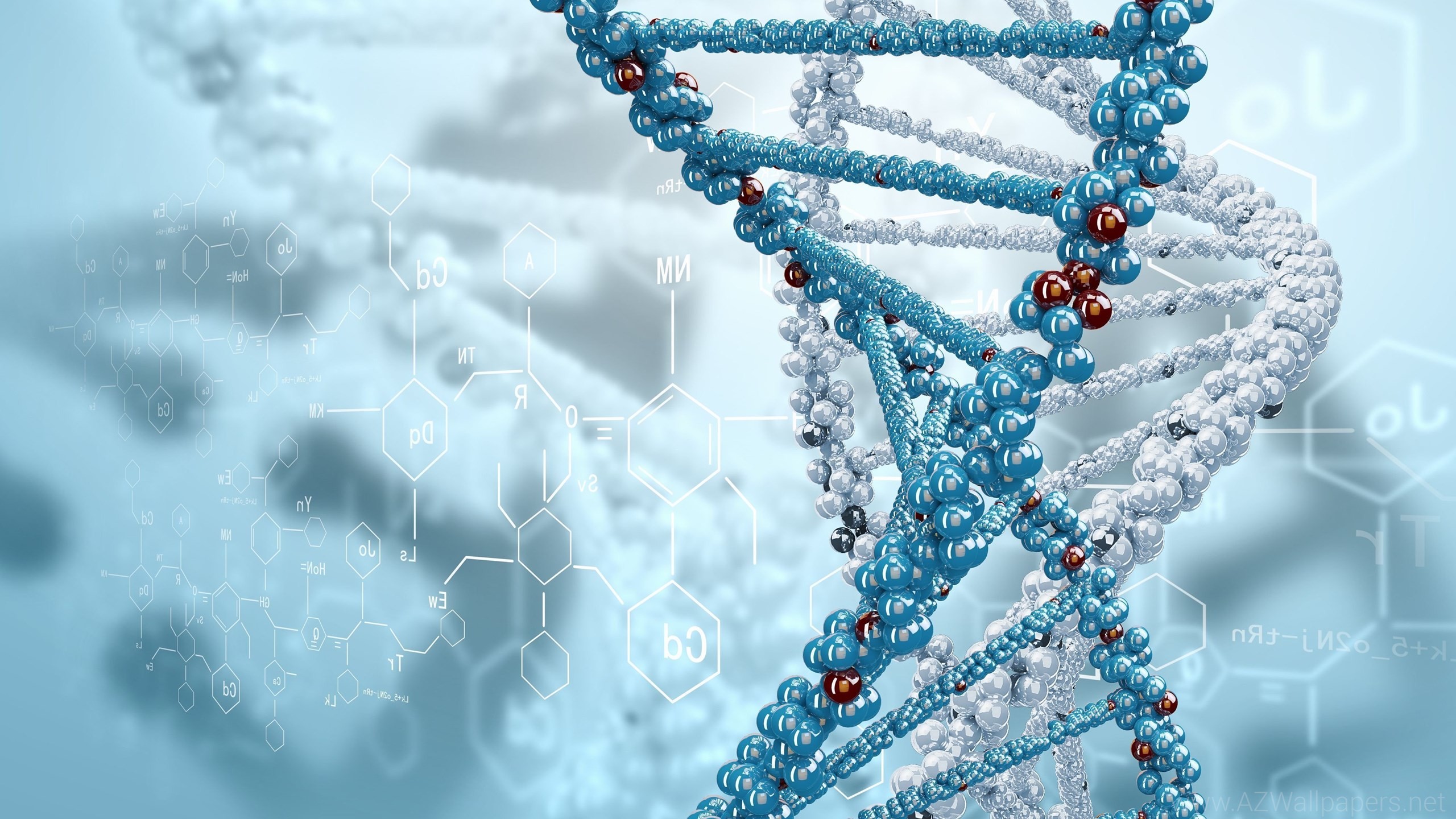 DNA, Doppia elica, Formule chimiche, Azzurro, 2560x1440, immagine di sfondo