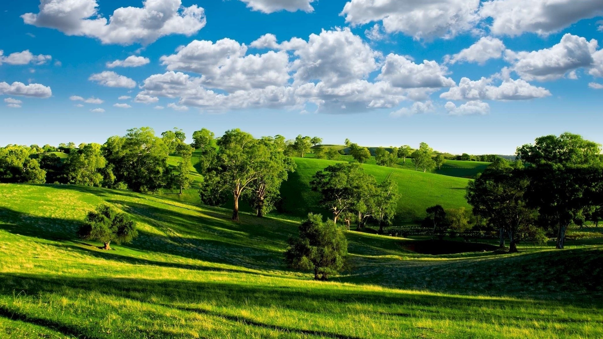 Colline verdi, Prato, Alberi, Nuvole, Full HD, sfondo per portatile