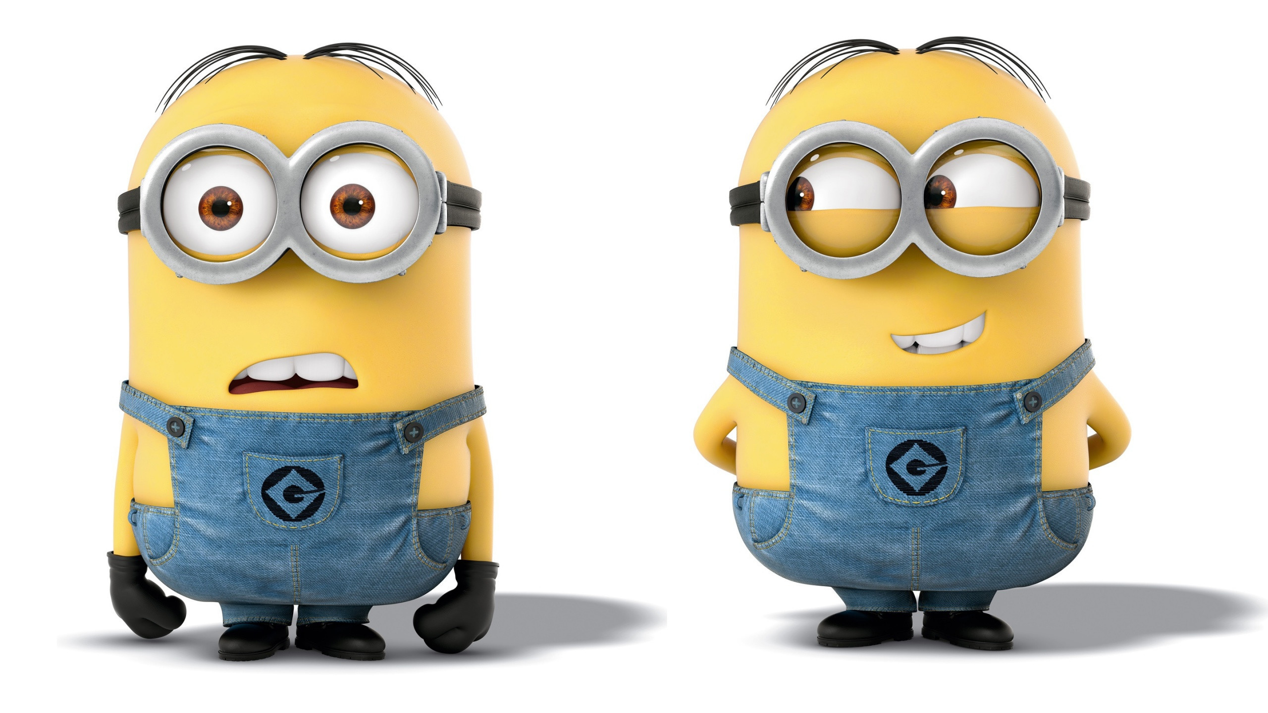 Minion, Dave, Cattivissimo me, Sfondo bianco, wallpaper Android