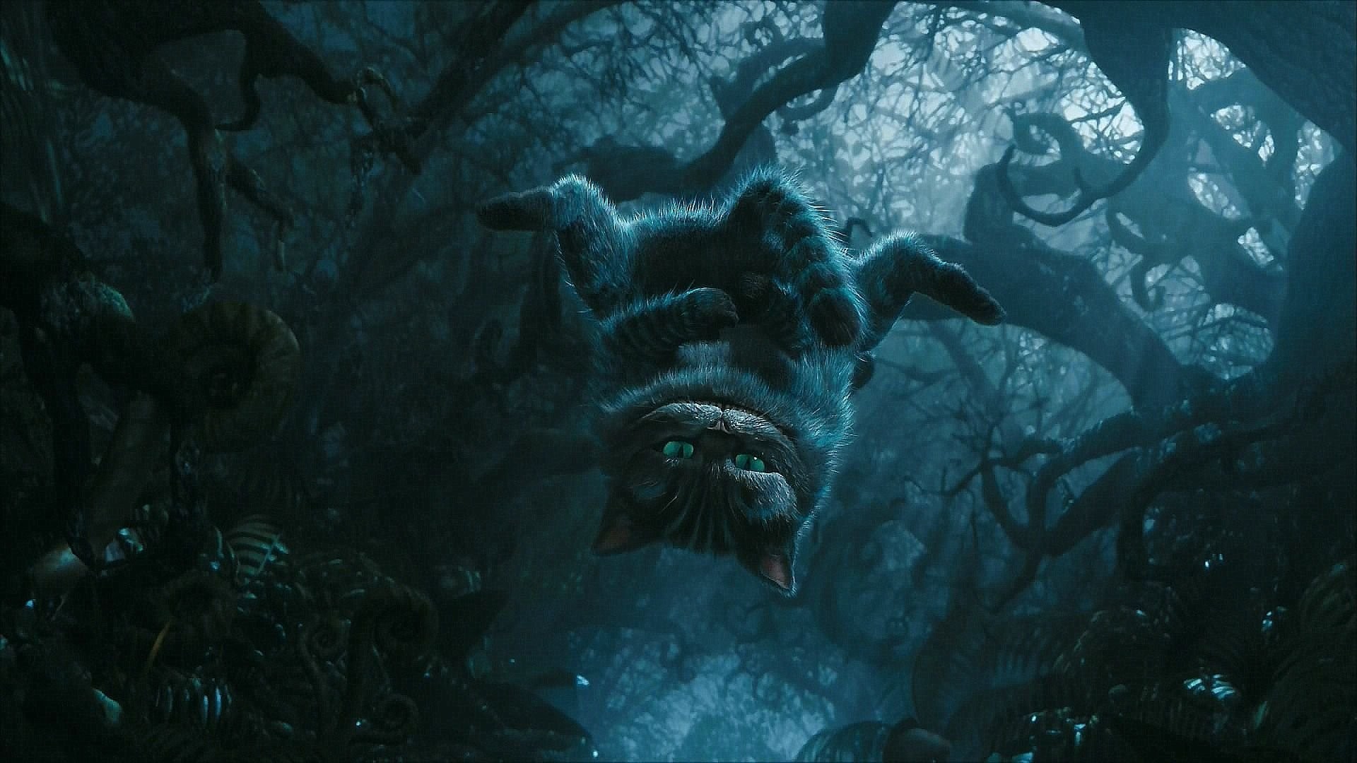Stregatto, Alice in Wonderland, Foresta oscura, Full HD, sfondo per portatile