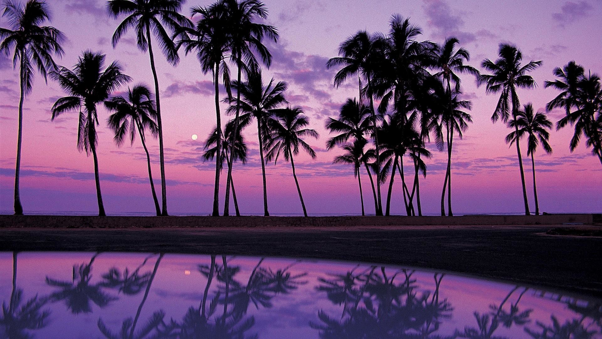 Palme, Silhouette, Crepuscolo, Riflesso, Cielo viola, 1920x1080, sfondo per PC