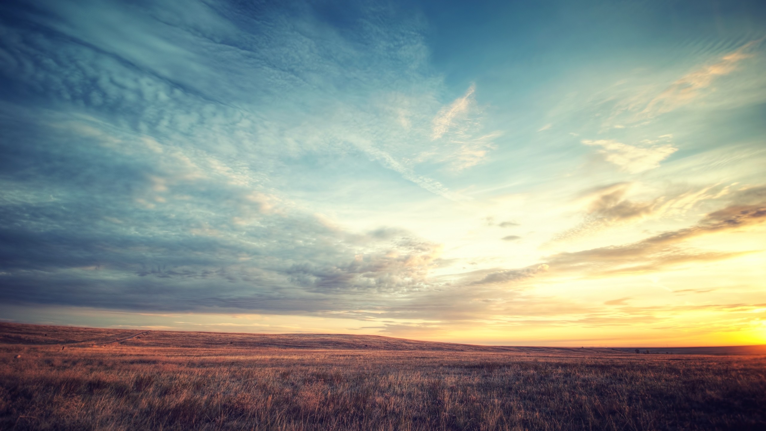 Prateria, Tramonto, Cielo nuvoloso, Paesaggio, 2560x1440, sfondo per PC
