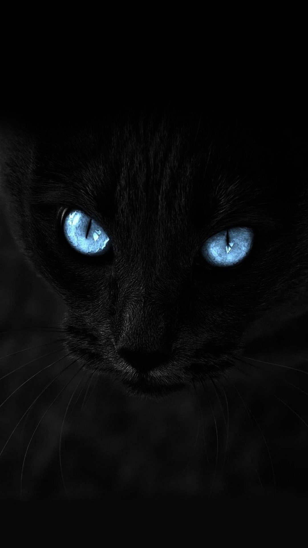 Gatto nero, Occhi azzurri, Buio, immagine di sfondo iPhone 5S