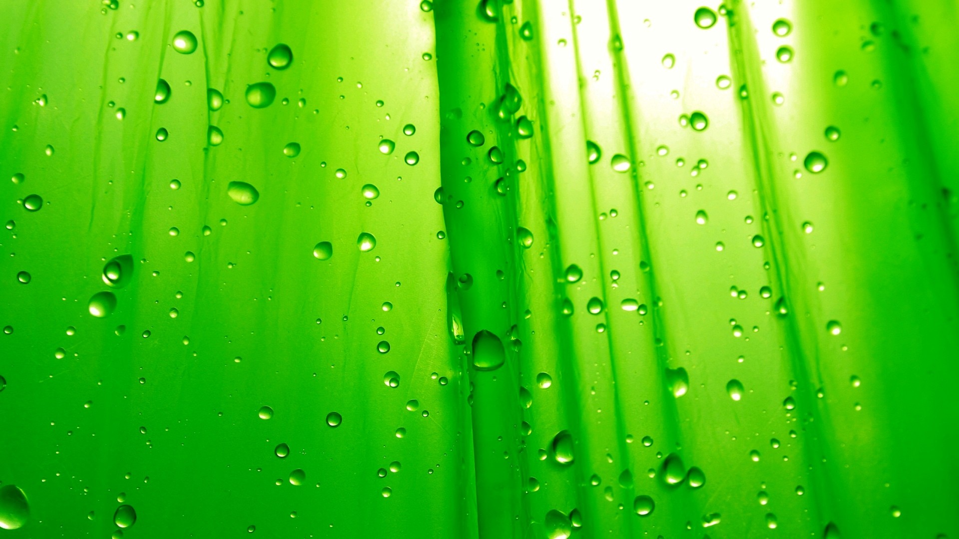 Gocce d'acqua, Verde, Macro, sfondo per il tuo desktop