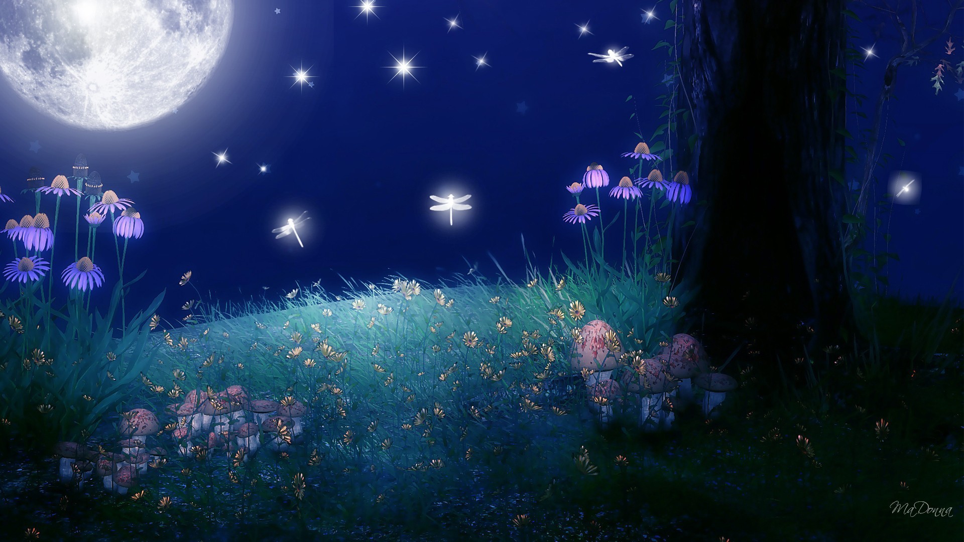 Luna piena, Fiori, Fantasy, Notte, 16:9 Full HD, sfondo widescreen