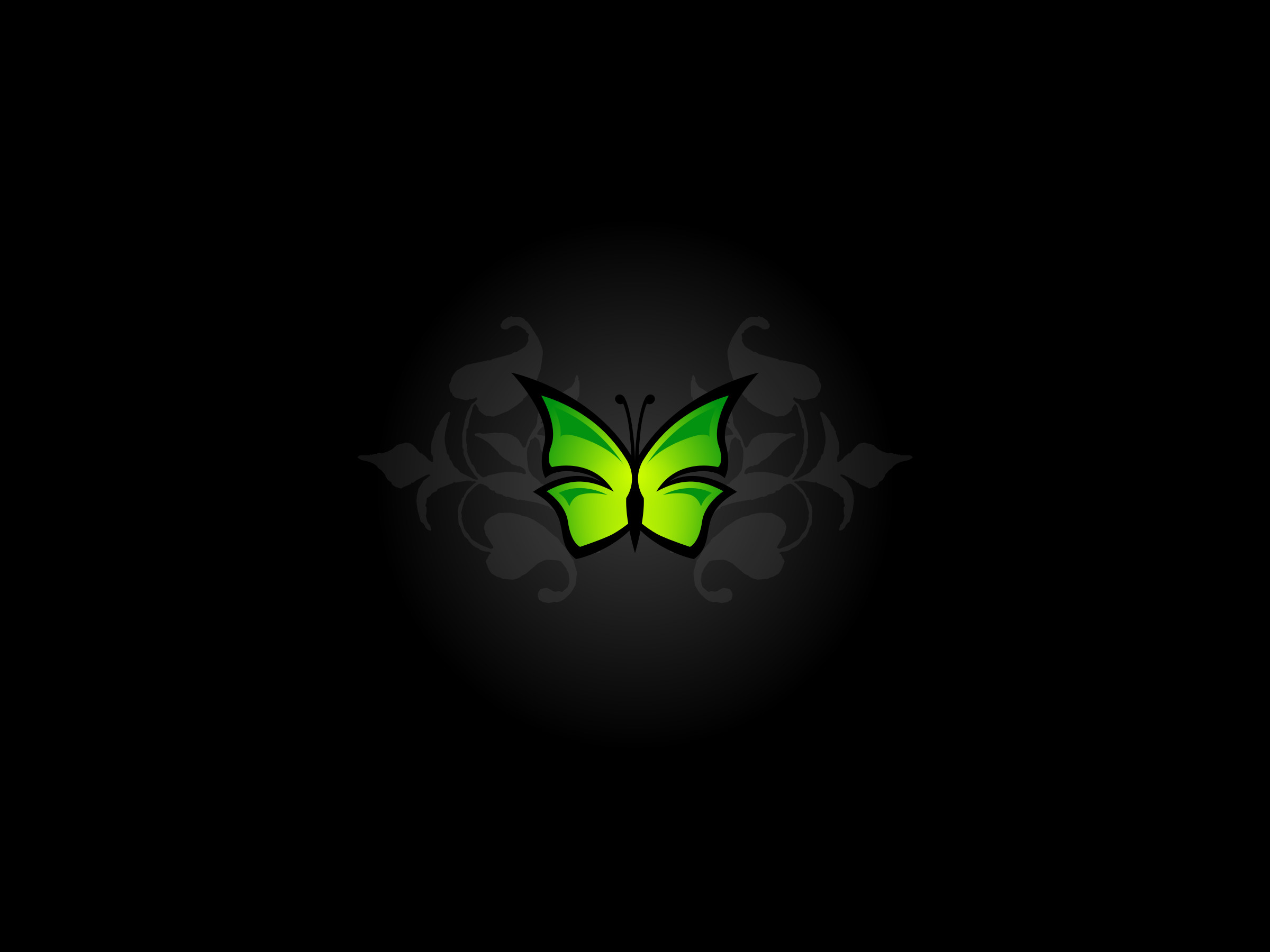 Farfalla verde, Logo, Sfondo nero, Full HD, schermata di blocco iPad