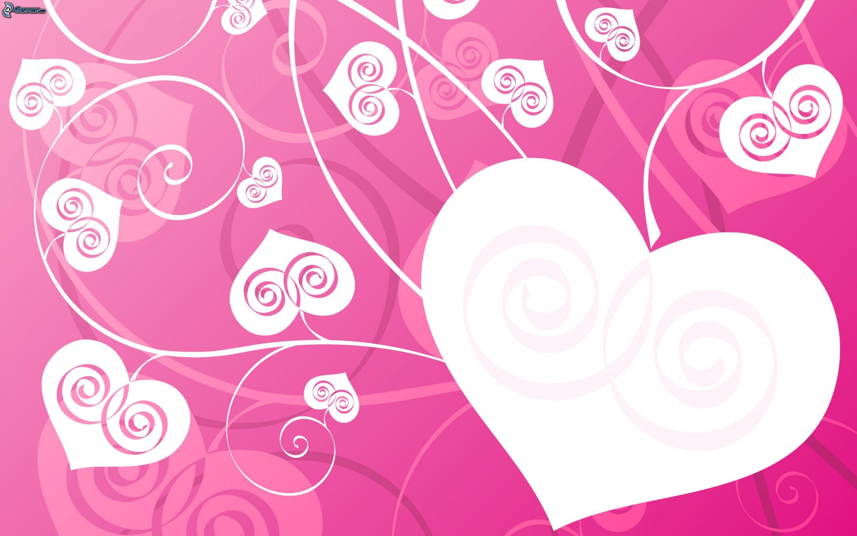 Cuore bianco, Spirali, Sfondo rosa, Arte vettoriale, 2880x1800, wallpaper desktop