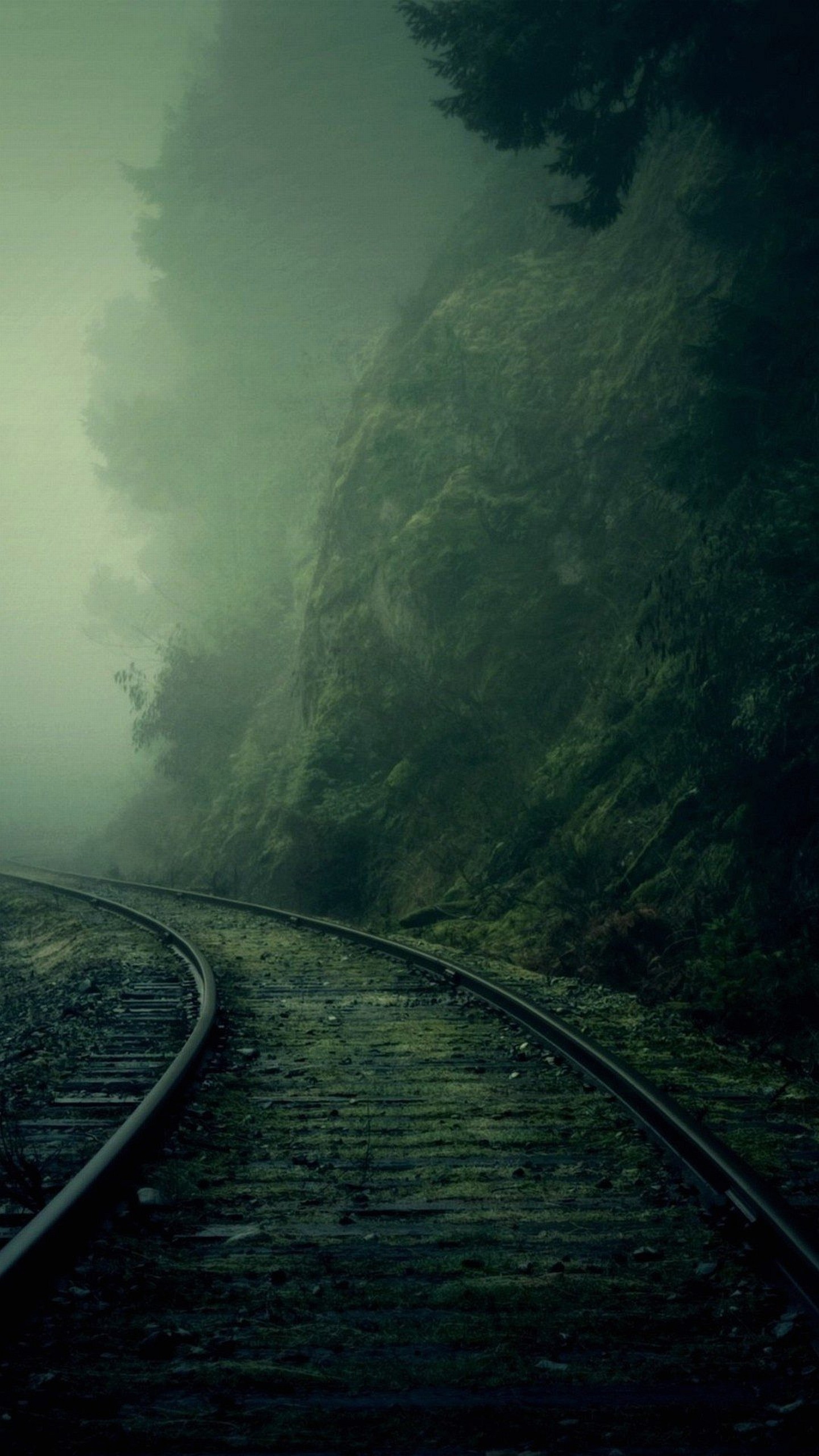 Binari, Ferrovia, Nebbia, Bosco, Atmosfera cupa, sfondo LG G3