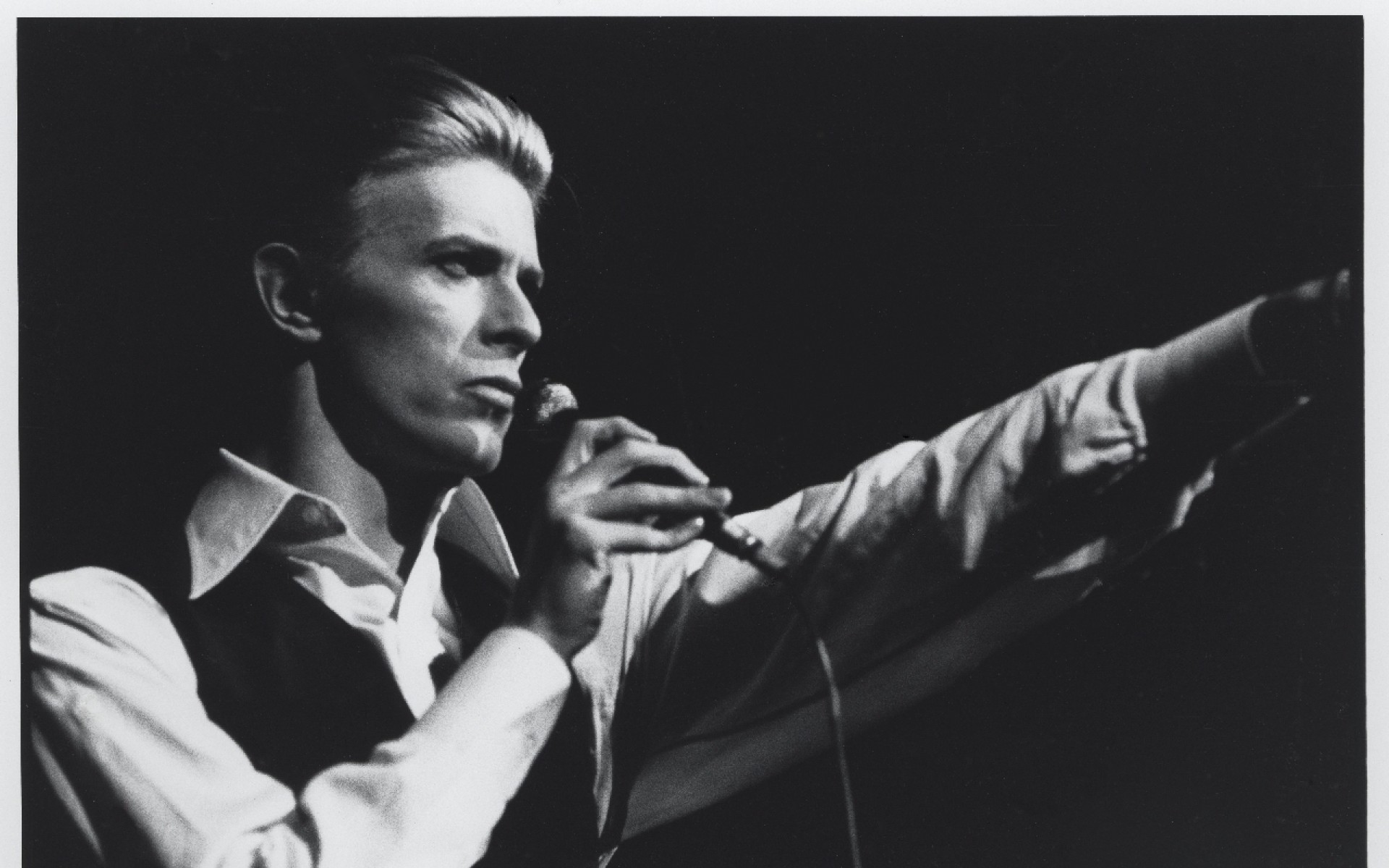 David Bowie, Thin White Duke, Concerto, Bianco e nero, 16:10 Full HD, sfondo widescreen