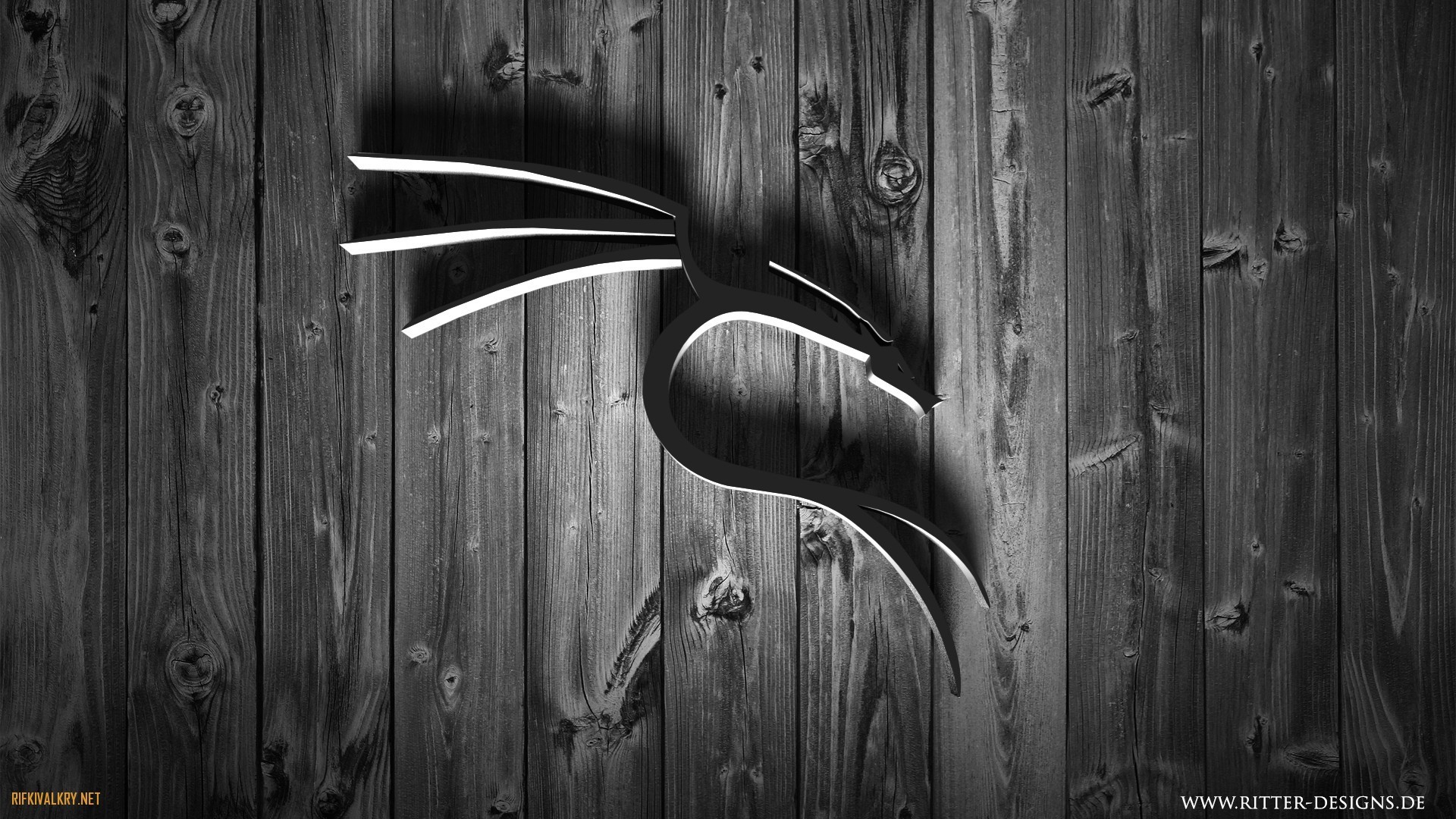 Kali Linux, Logo del drago, Legno scuro, Full HD 1080p, sfondo desktop