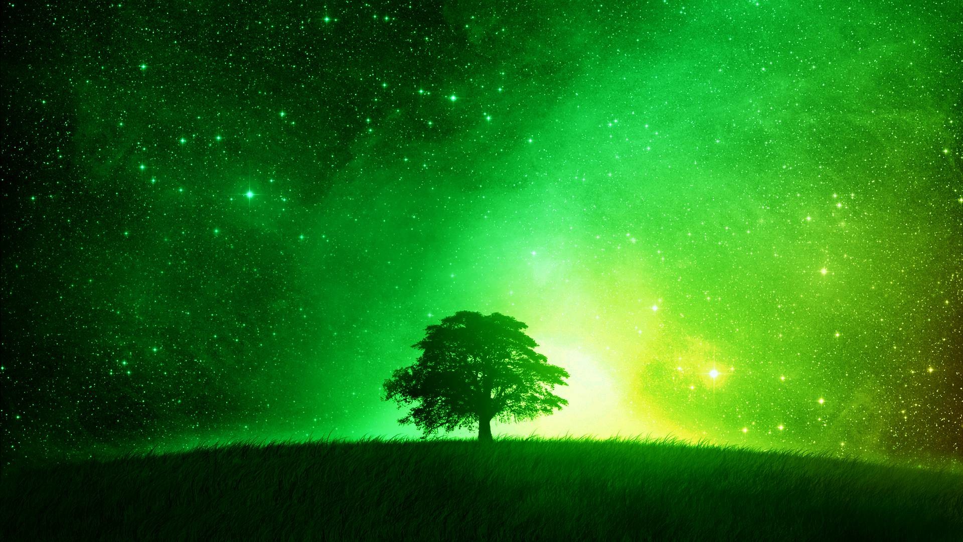 Albero solitario, Cielo stellato, Collina, Verde, Full HD, sfondo per PC