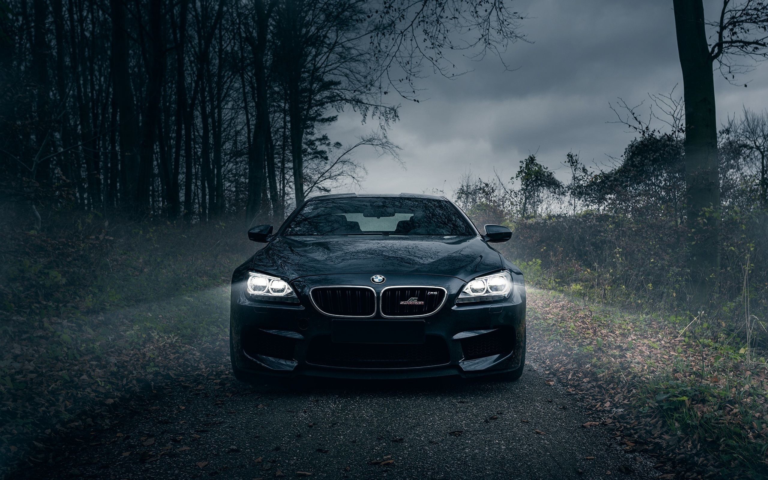 BMW M6 Gran Coupé, BMW, Foresta, Nebbia, Strada, 16:10 2K, sfondo widescreen