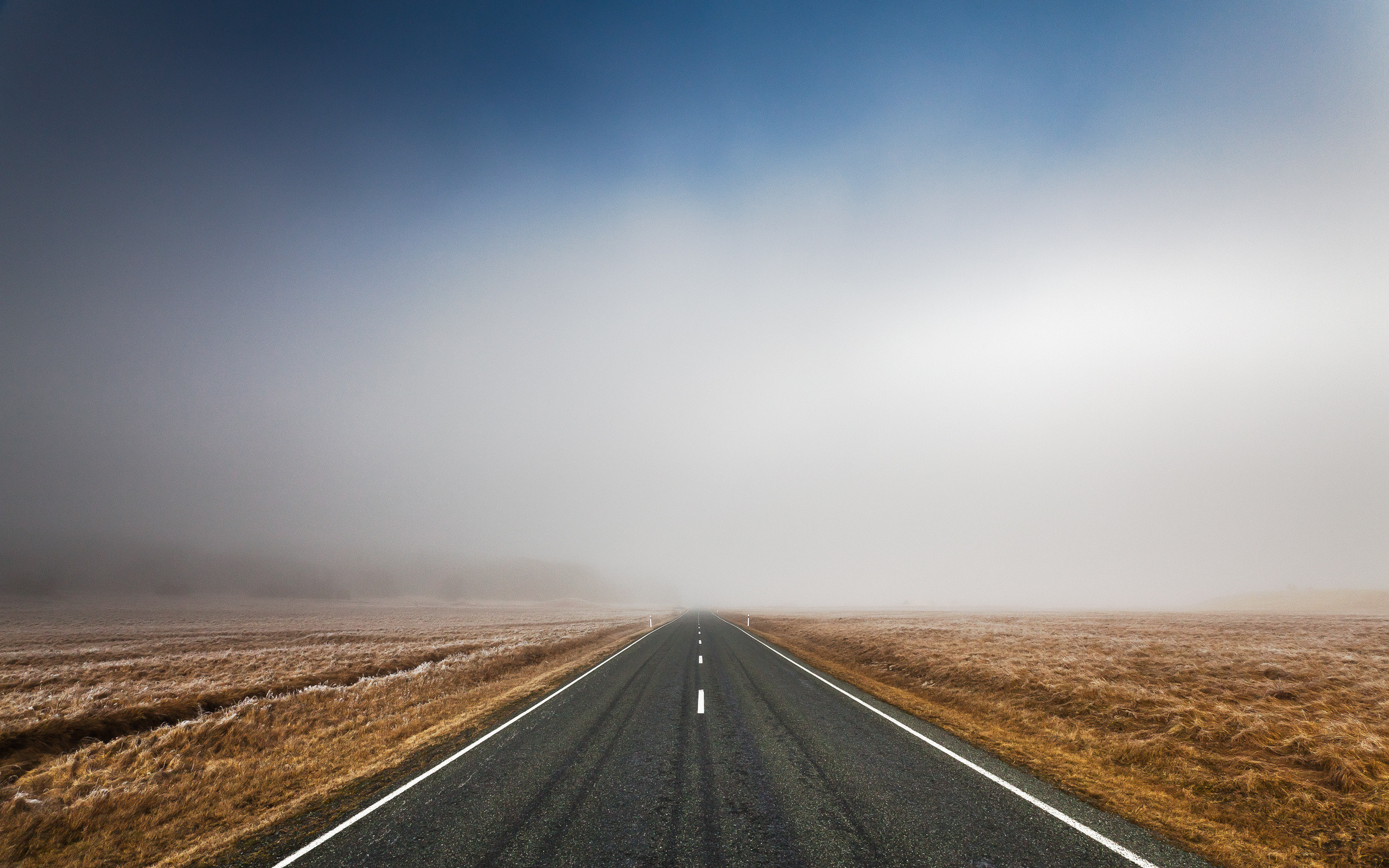 Strada, Nebbia, Campi, Orizzonte, 2560x1600, immagine di sfondo