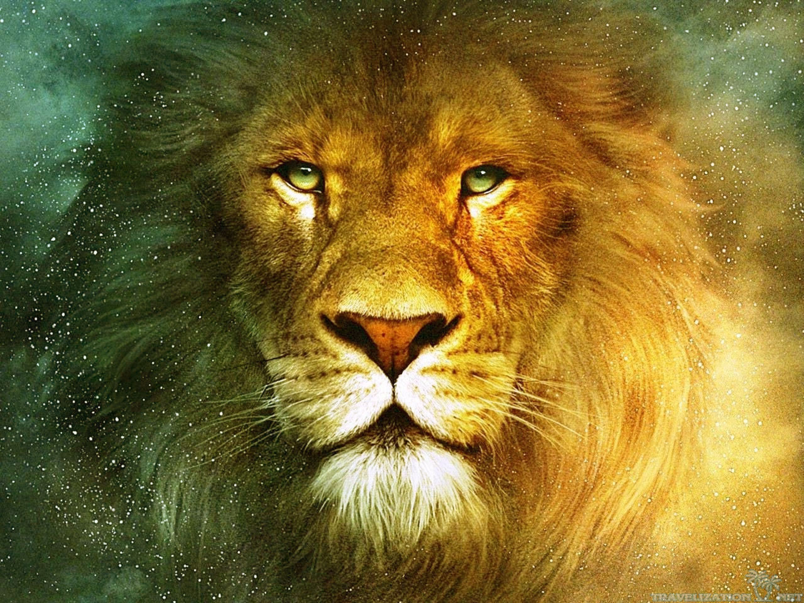 Aslan, Le cronache di Narnia, Leone, Ritratto, 2K, schermata di blocco iPad