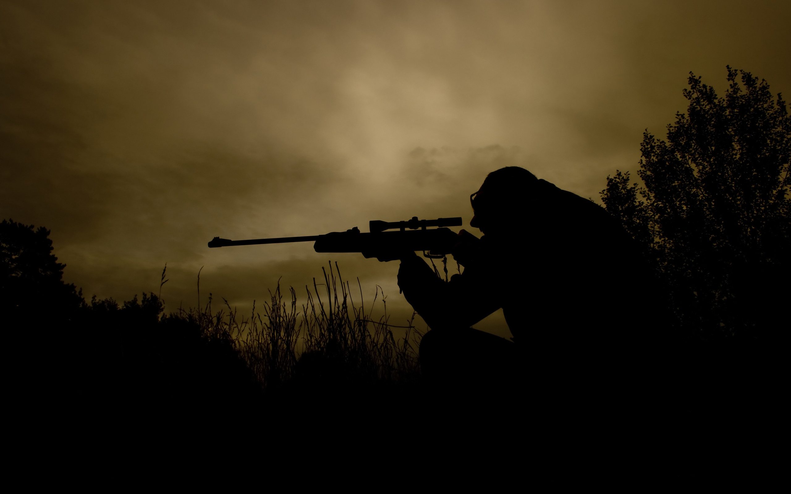 Cecchino, Silhouette, Fucile di precisione, Tramonto, 2560x1600, wallpaper desktop