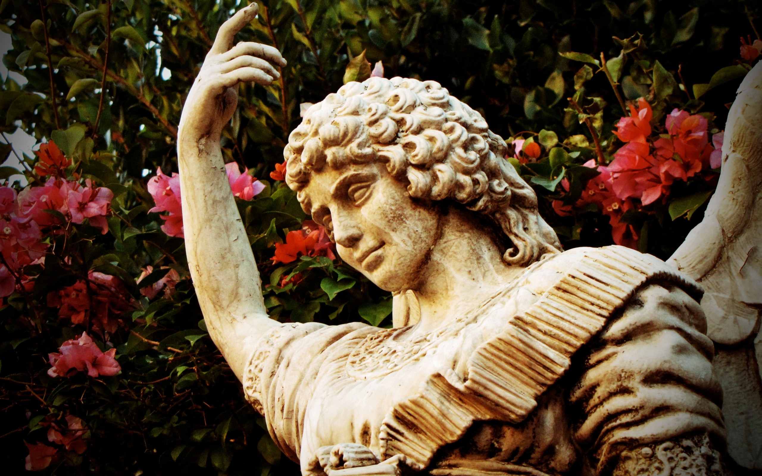 Statua di angelo, Scultura, Fiori rossi, Marmo, 2K 1600p, sfondo desktop