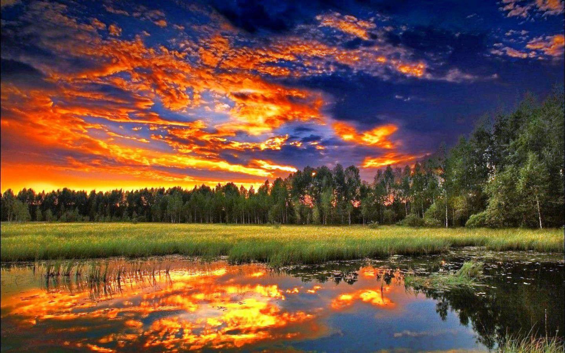 Lago, Tramonto, Foresta, Cielo infuocato, sfondo desktop