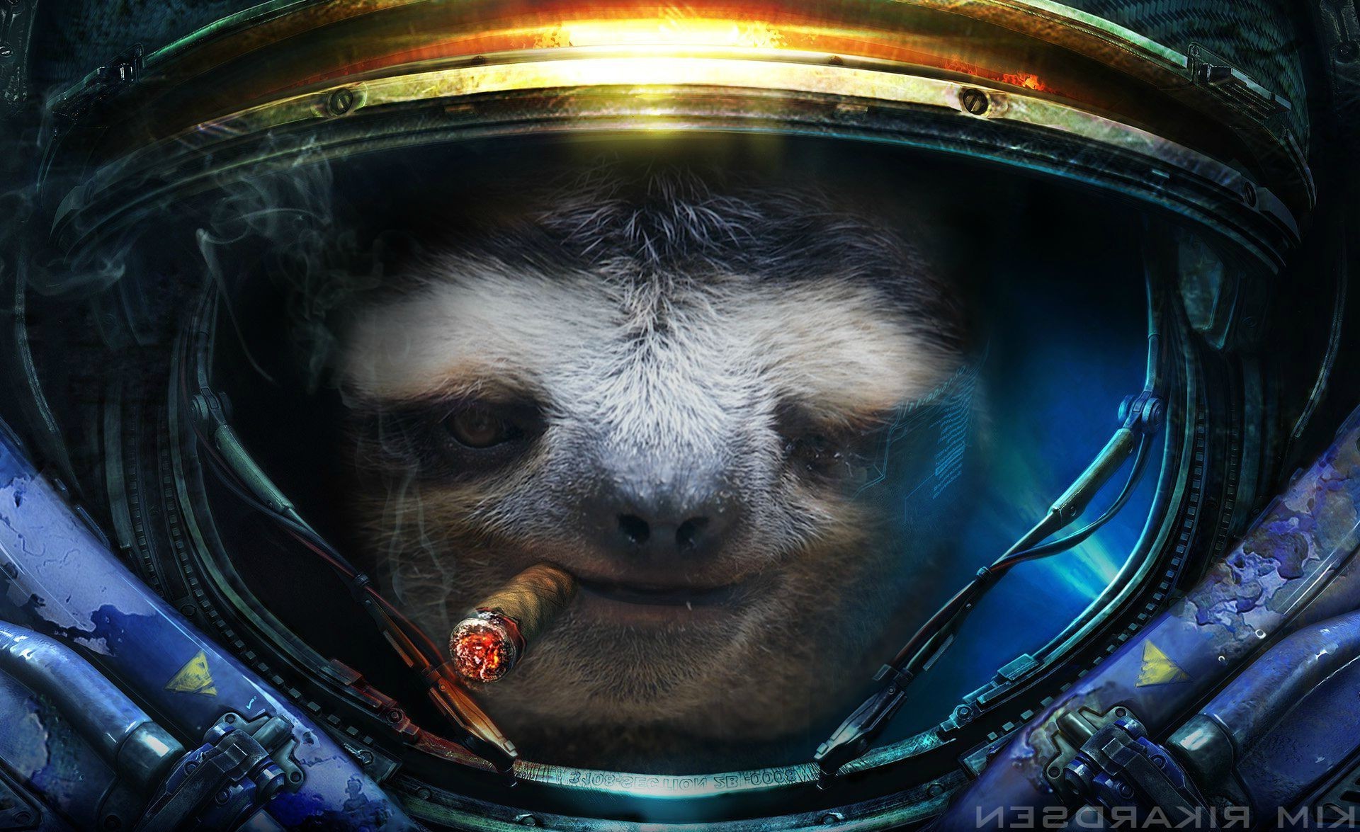 StarCraft II, Bradipo, Parodia, Sigaro, Casco, Full HD, sfondo per portatile
