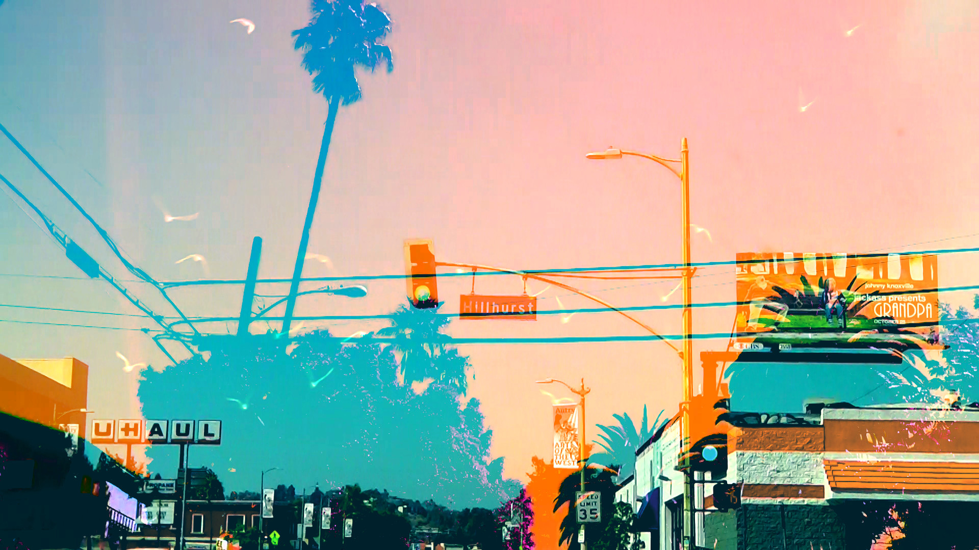 La La Land, Los Angeles, Palme, Illustrazione, Cielo rosa, Full HD, sfondo per PC e portatile