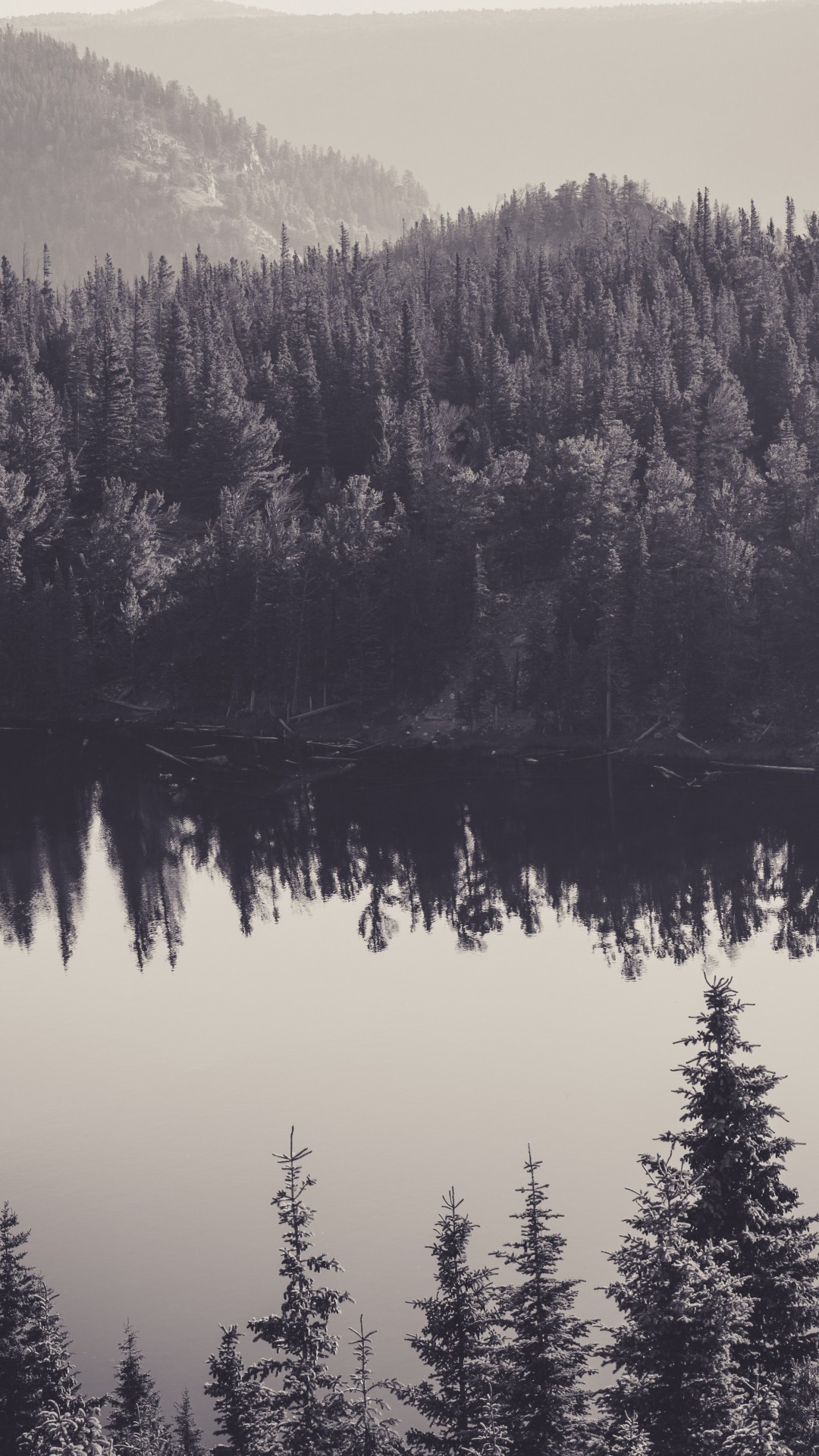 Foresta, Lago, Riflesso, Nebbia, wallpaper iPhone 6